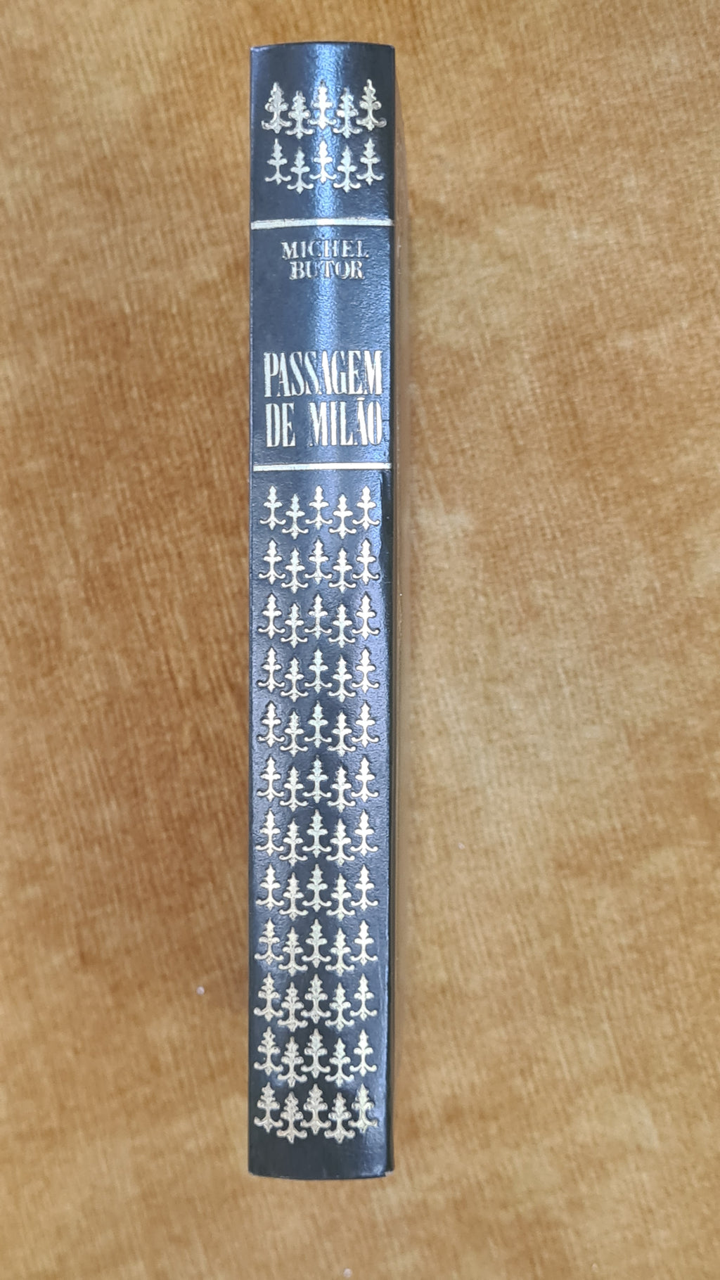 Milan Passage - Literary Series