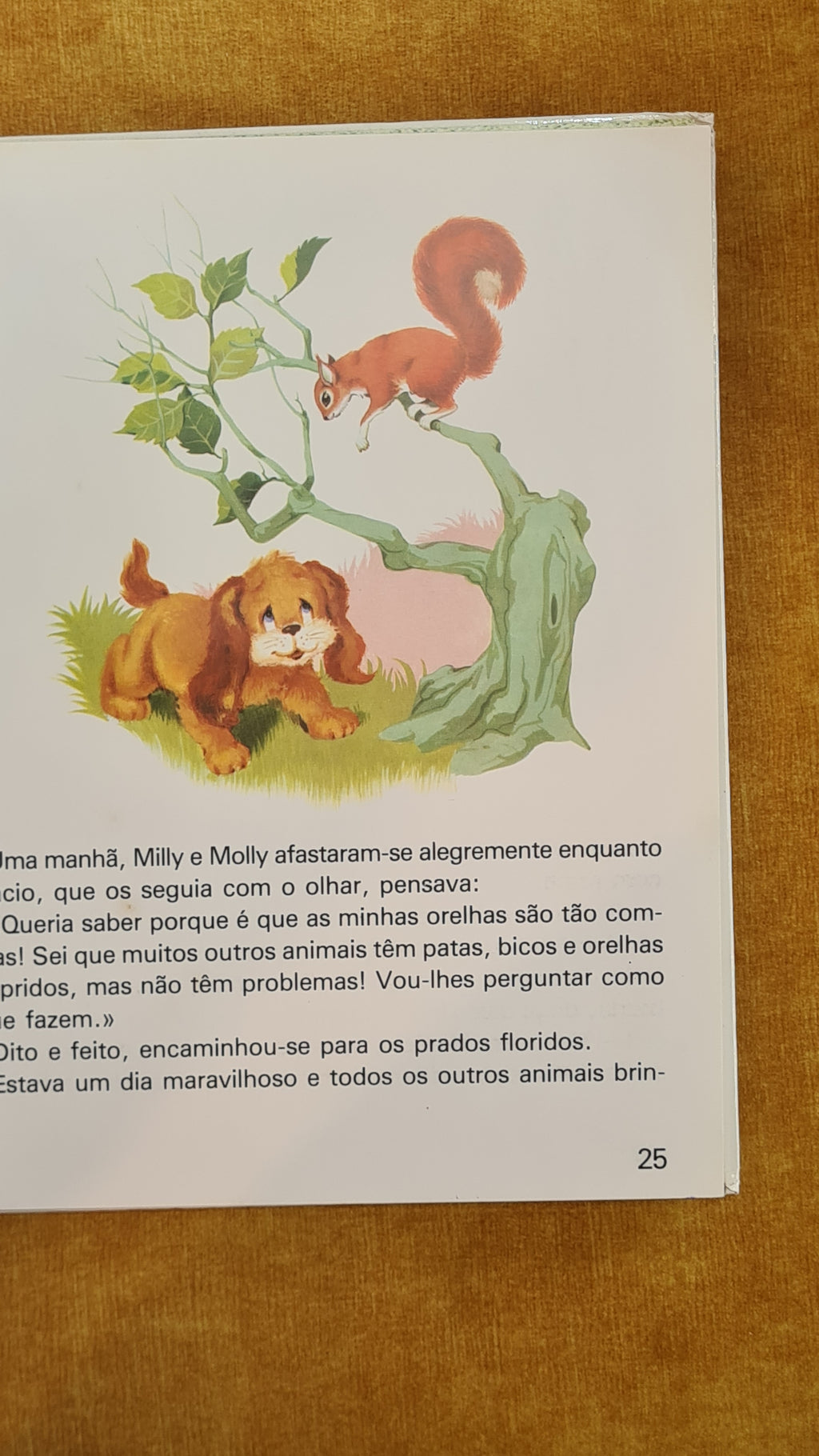 Histórias de primavera - Colecção Giroflé