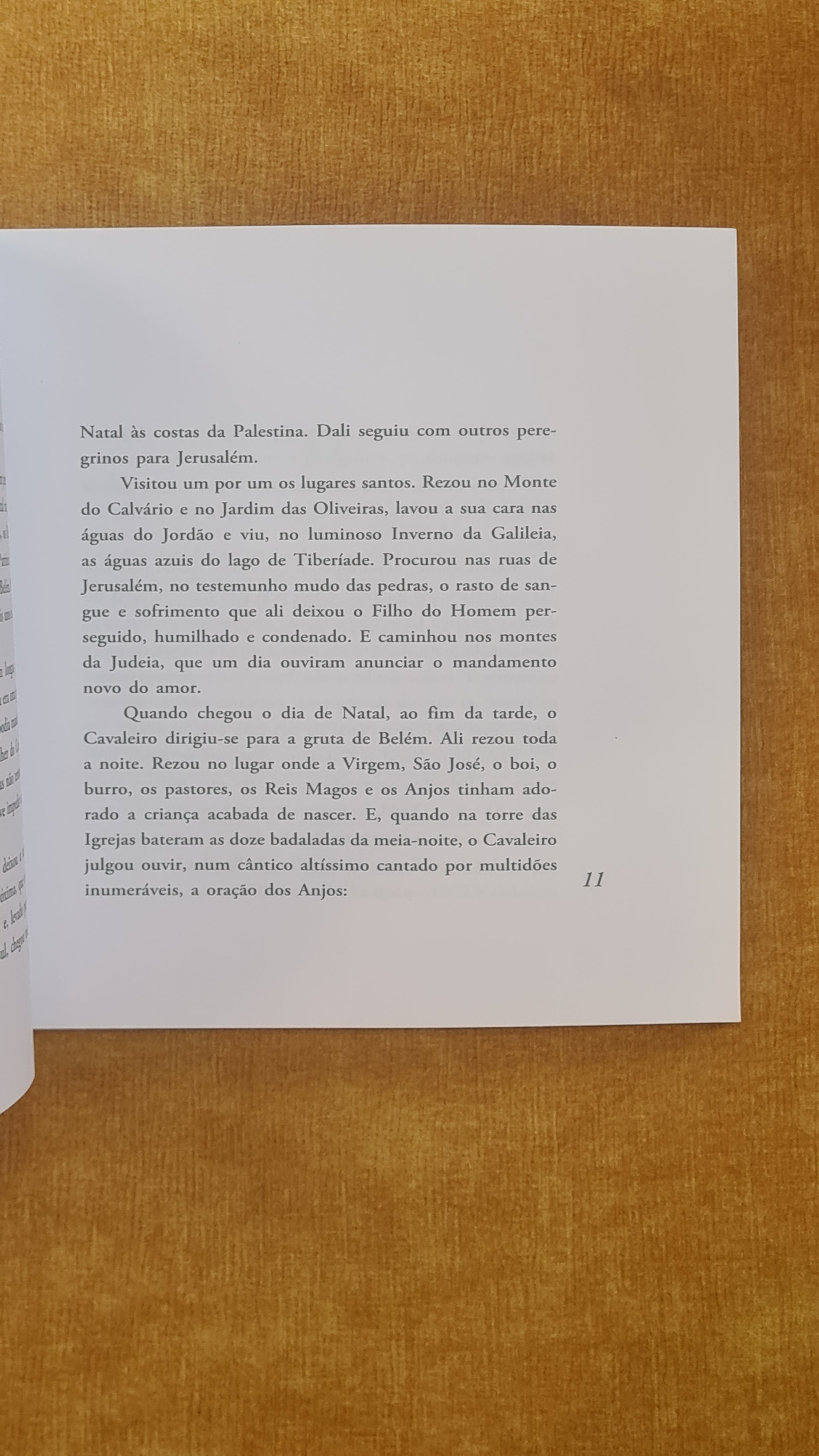 O cavaleiro da Dinamarca