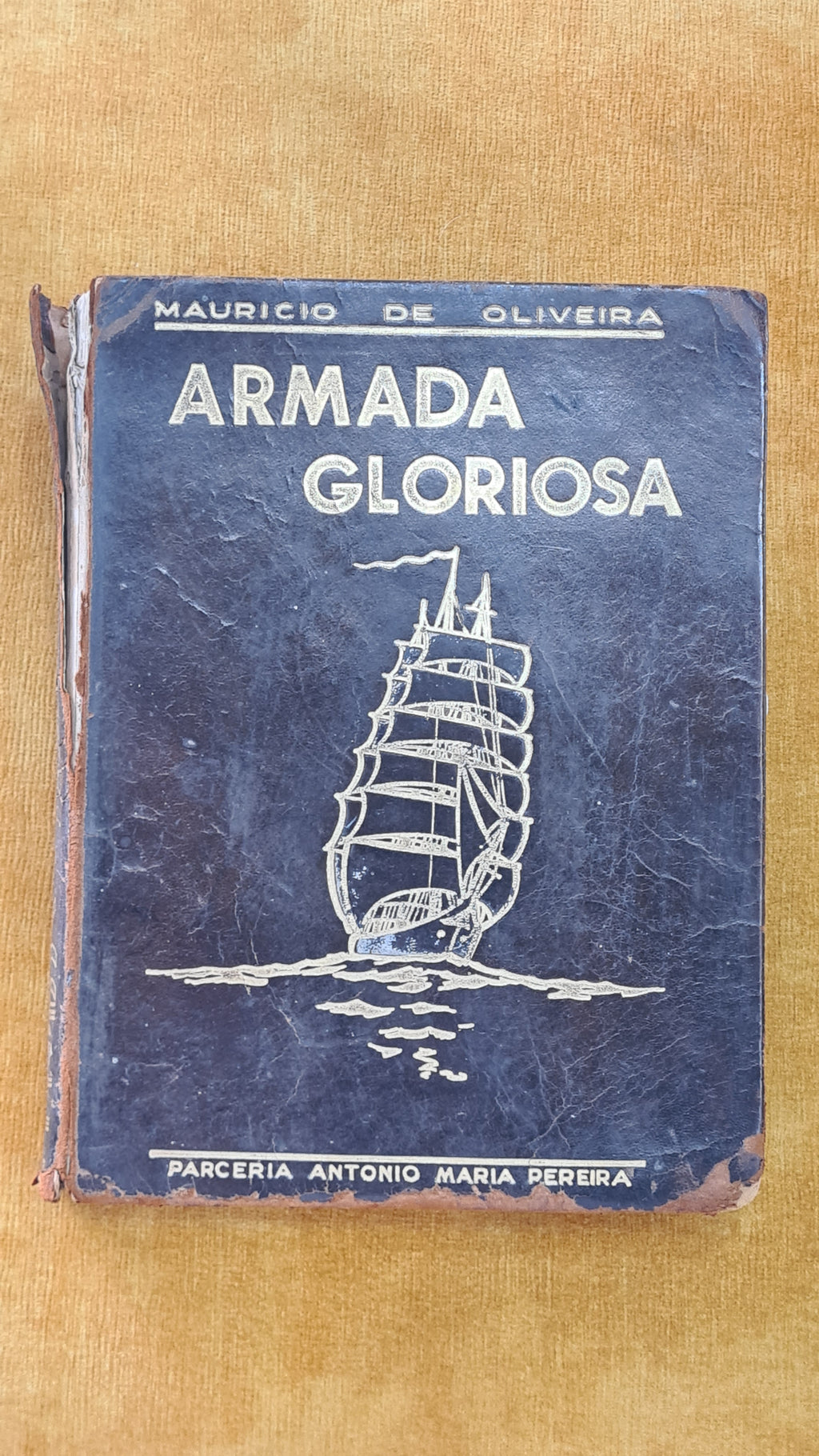 Armada Gloriosa: A marinha de guerra portuguesa no século XX (1900-1936)