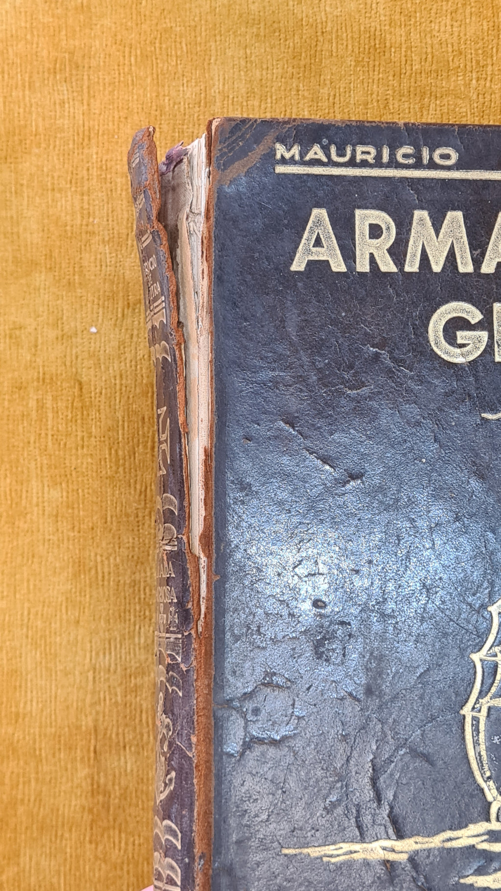 Armada Gloriosa: A marinha de guerra portuguesa no século XX (1900-1936)