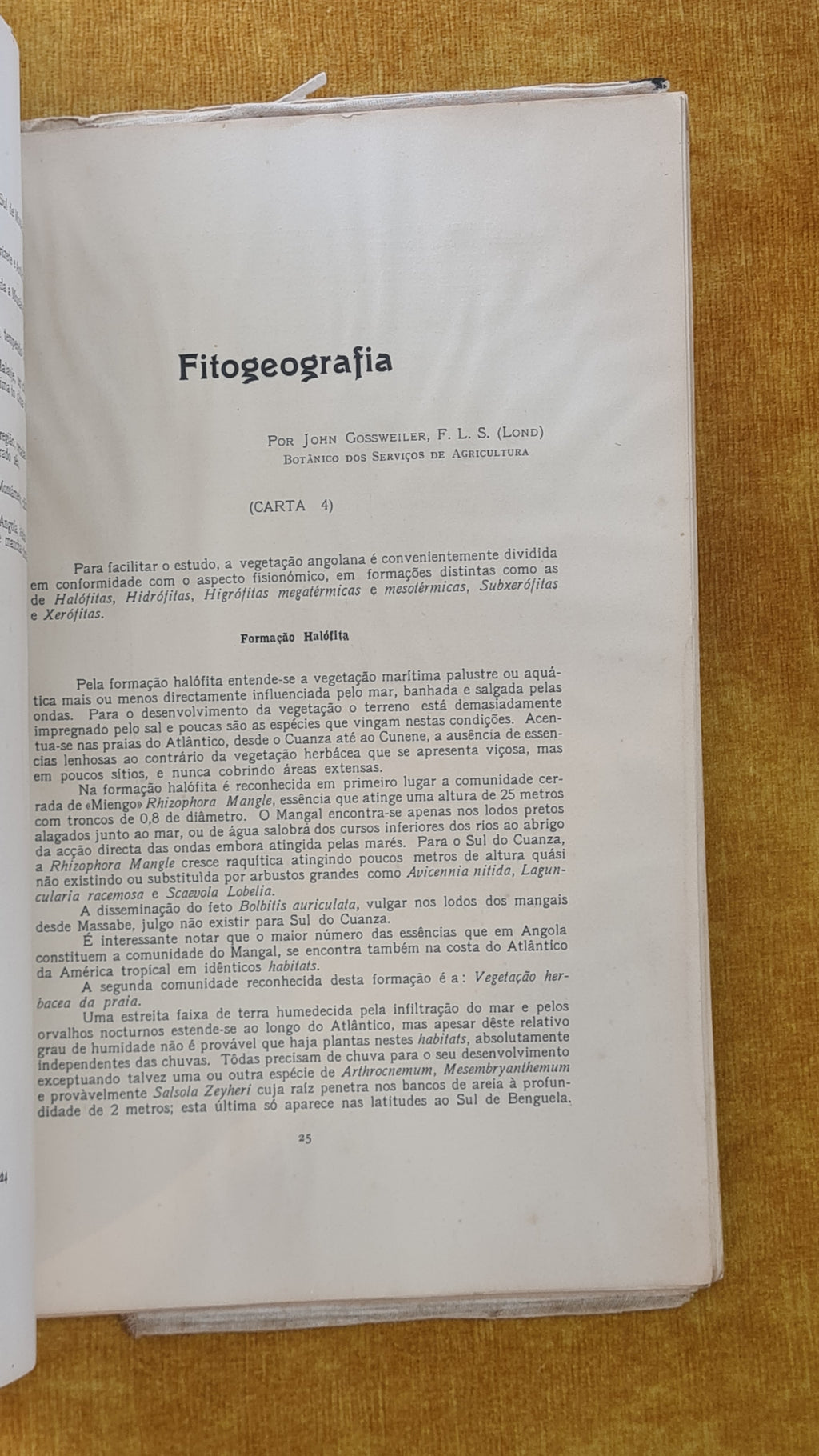Generalidades sôbre Angola: Para o 1º Cruzeiro de férias às colónias Portuguesas