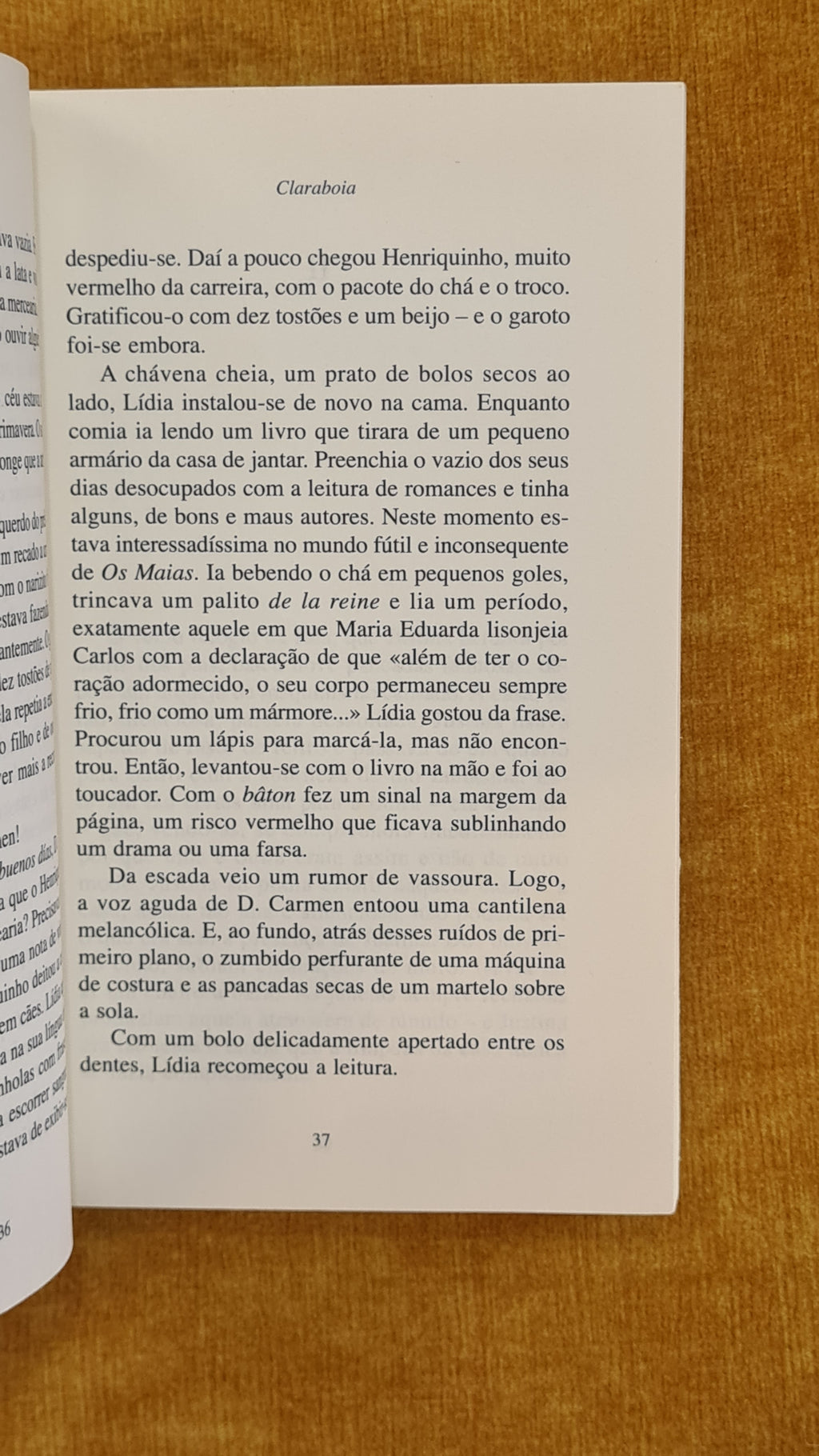 Claraboia