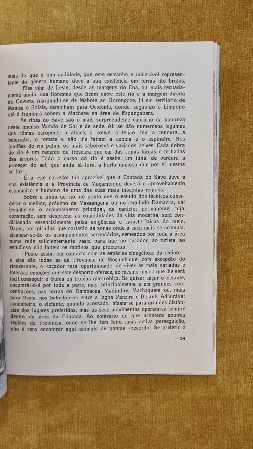 Caça em Moçambique: África oriental Portuguesa