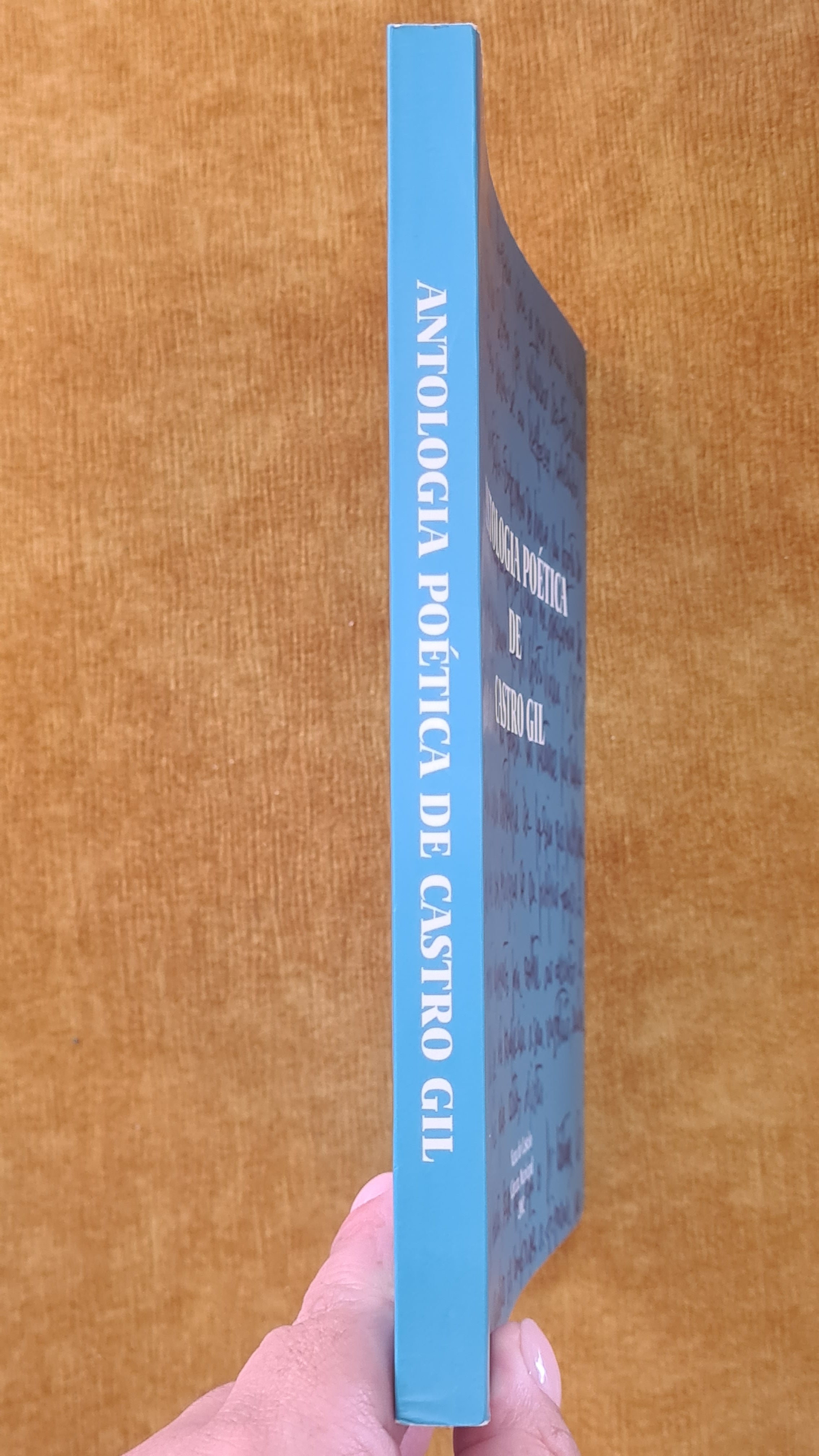 Antologia poética de Castro Gil