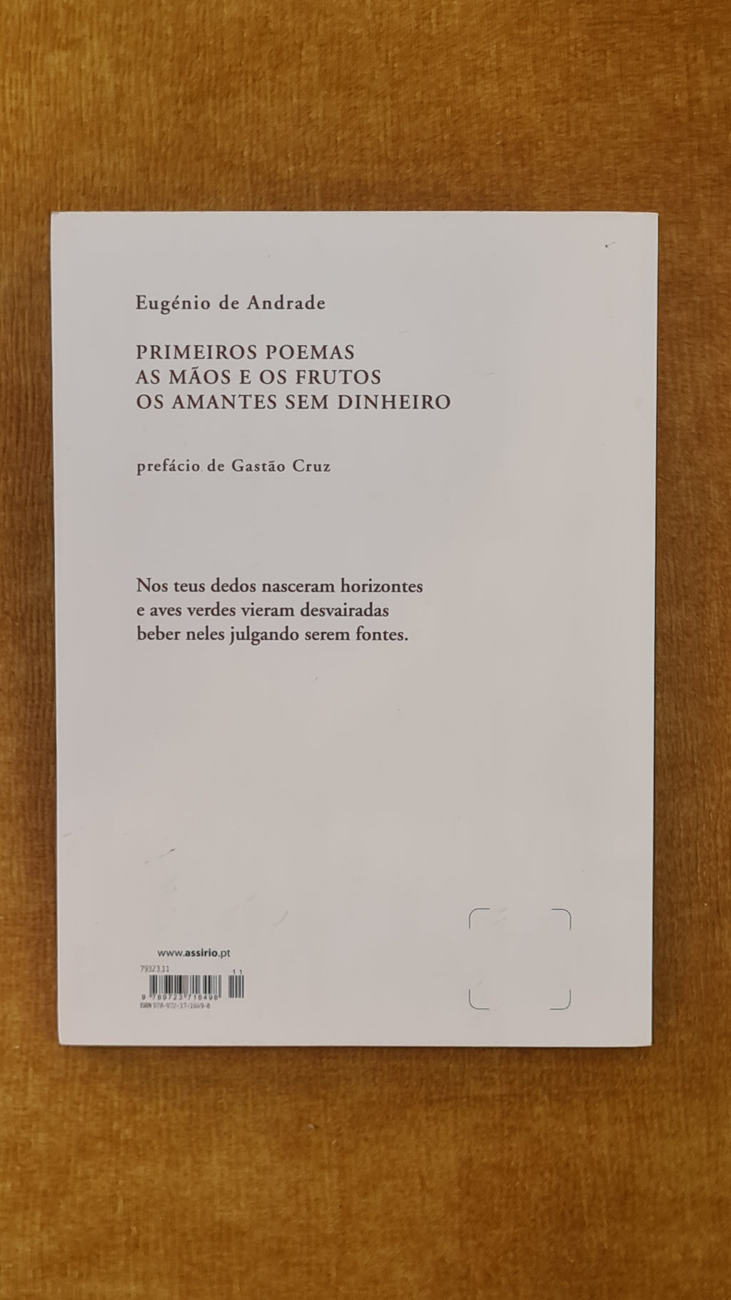 Primeiros Poemas - As mãos e os frutos - Os amantes sem dinheiro