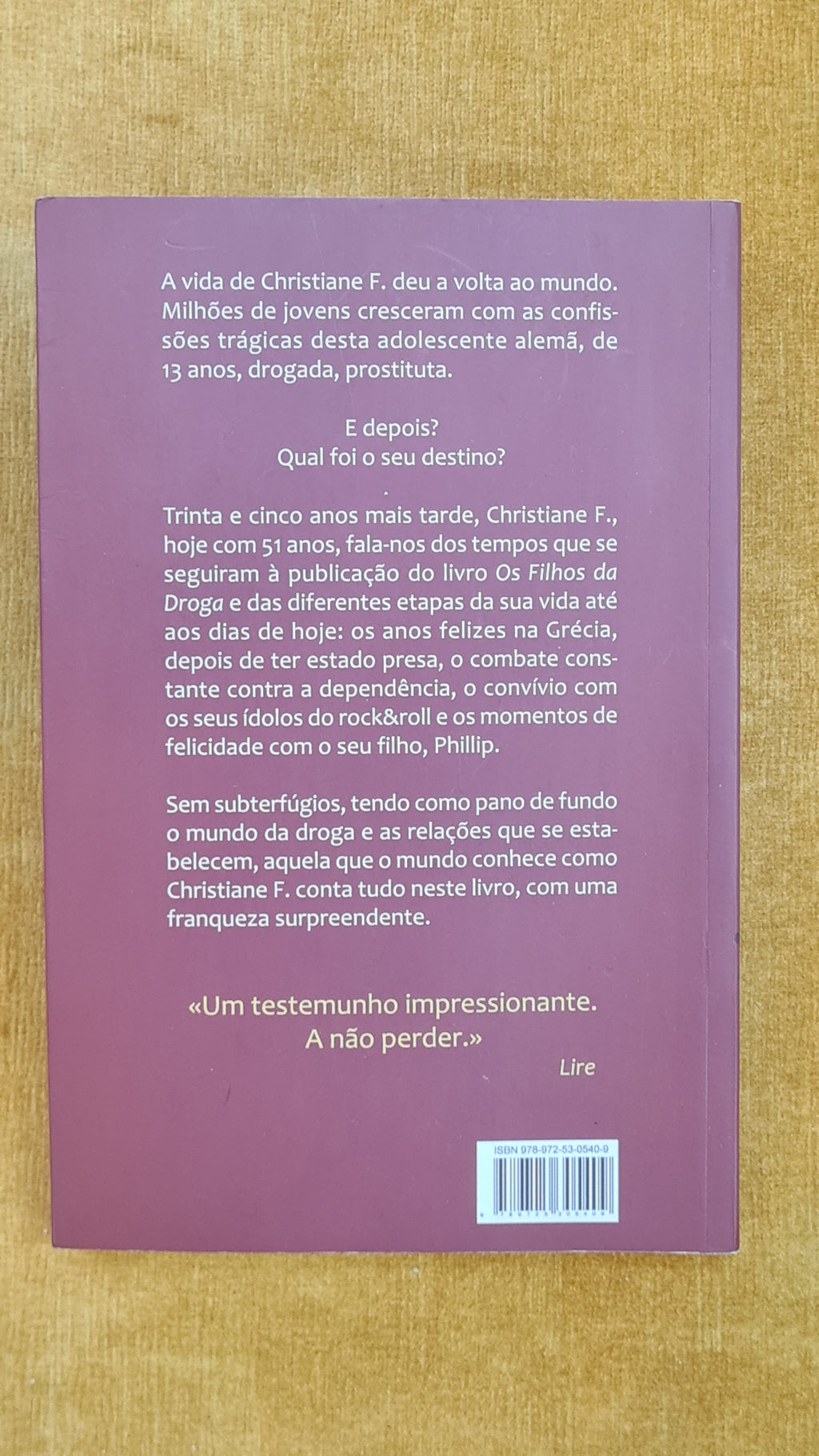 A minha segunda vida