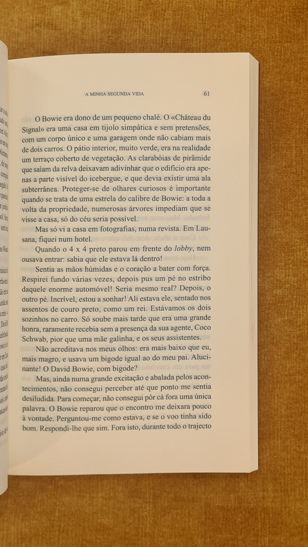 A minha segunda vida