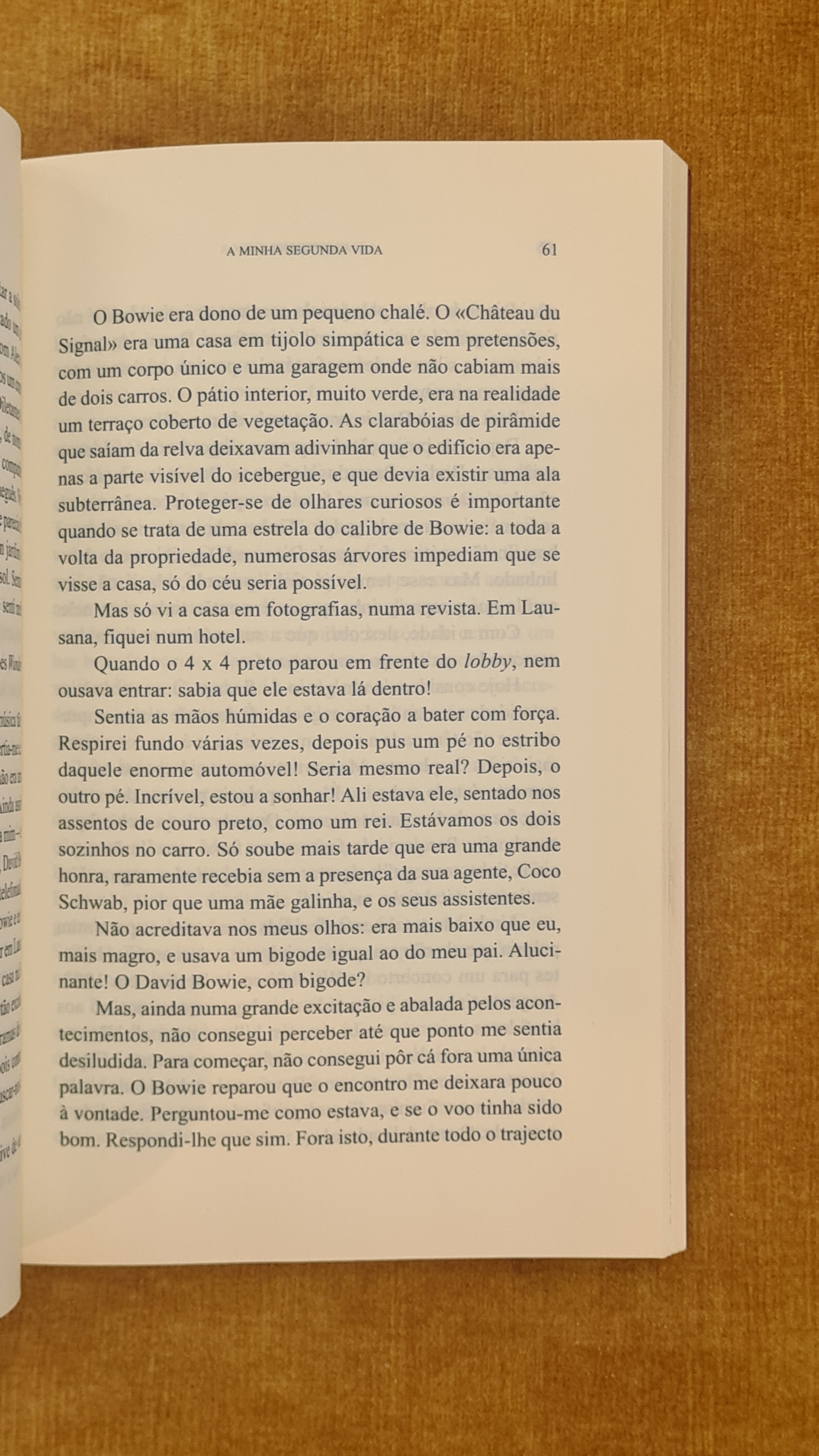 A minha segunda vida
