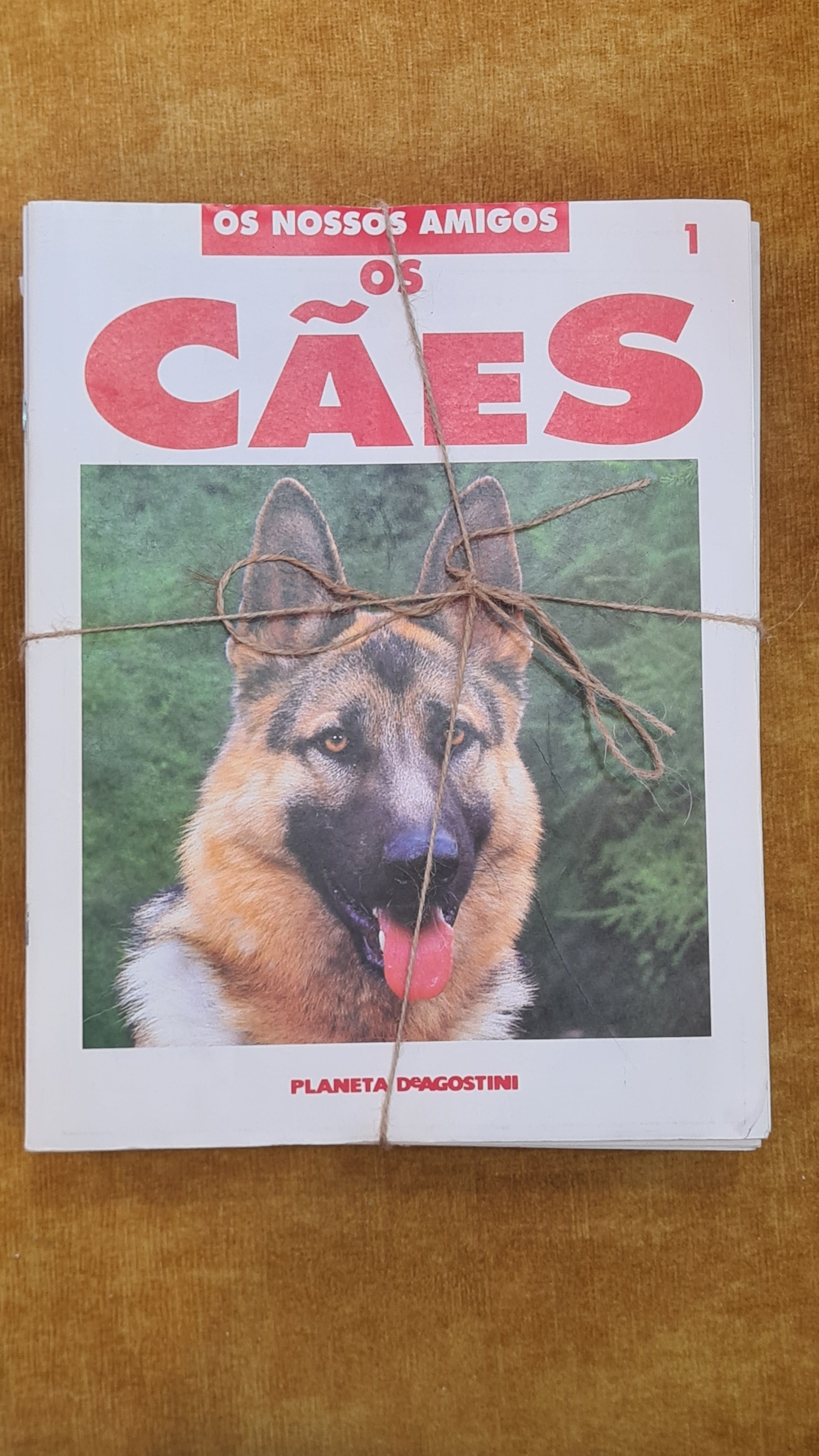 Our Friends - Dogs 1-60