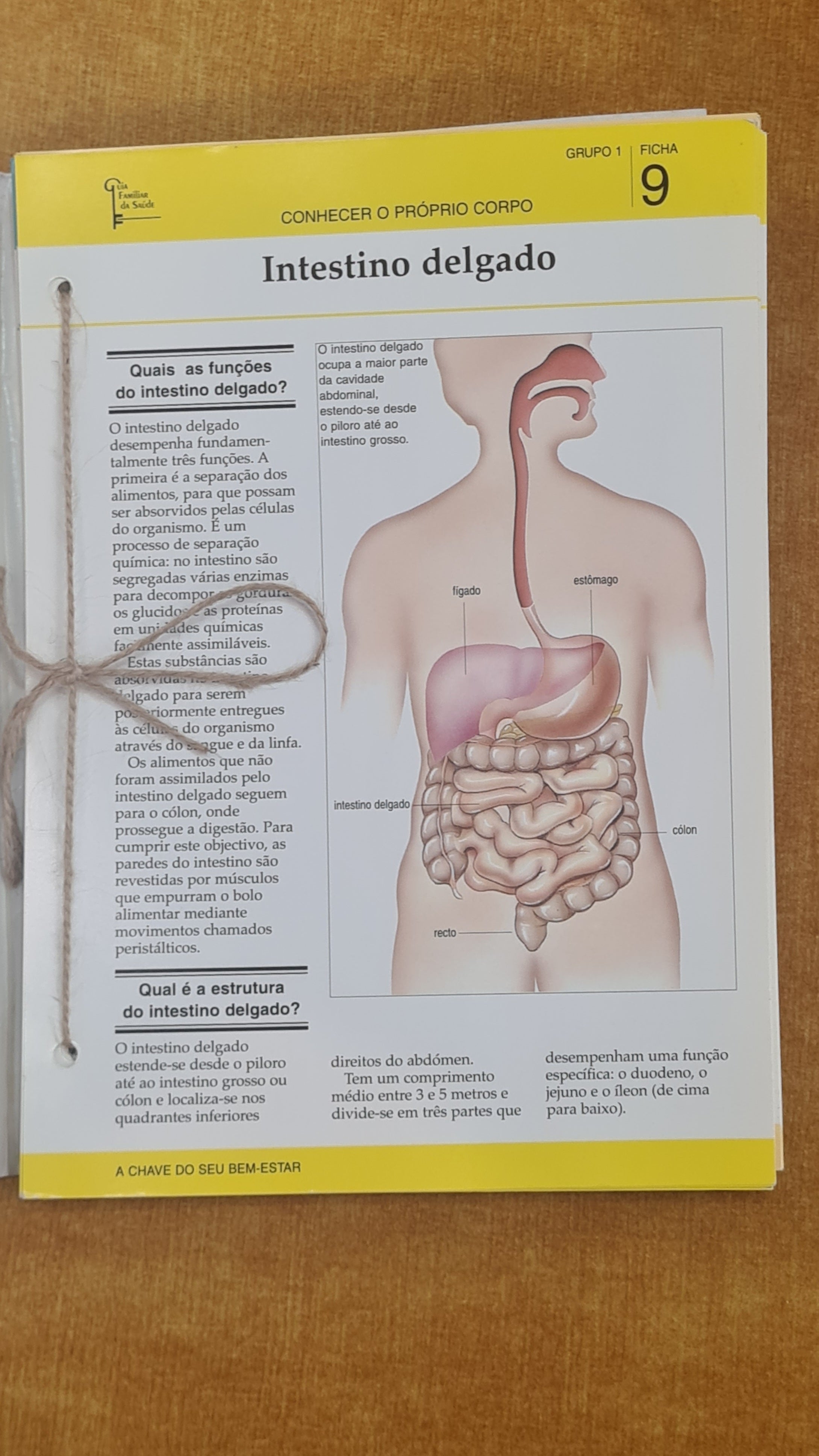 Family Health Guide