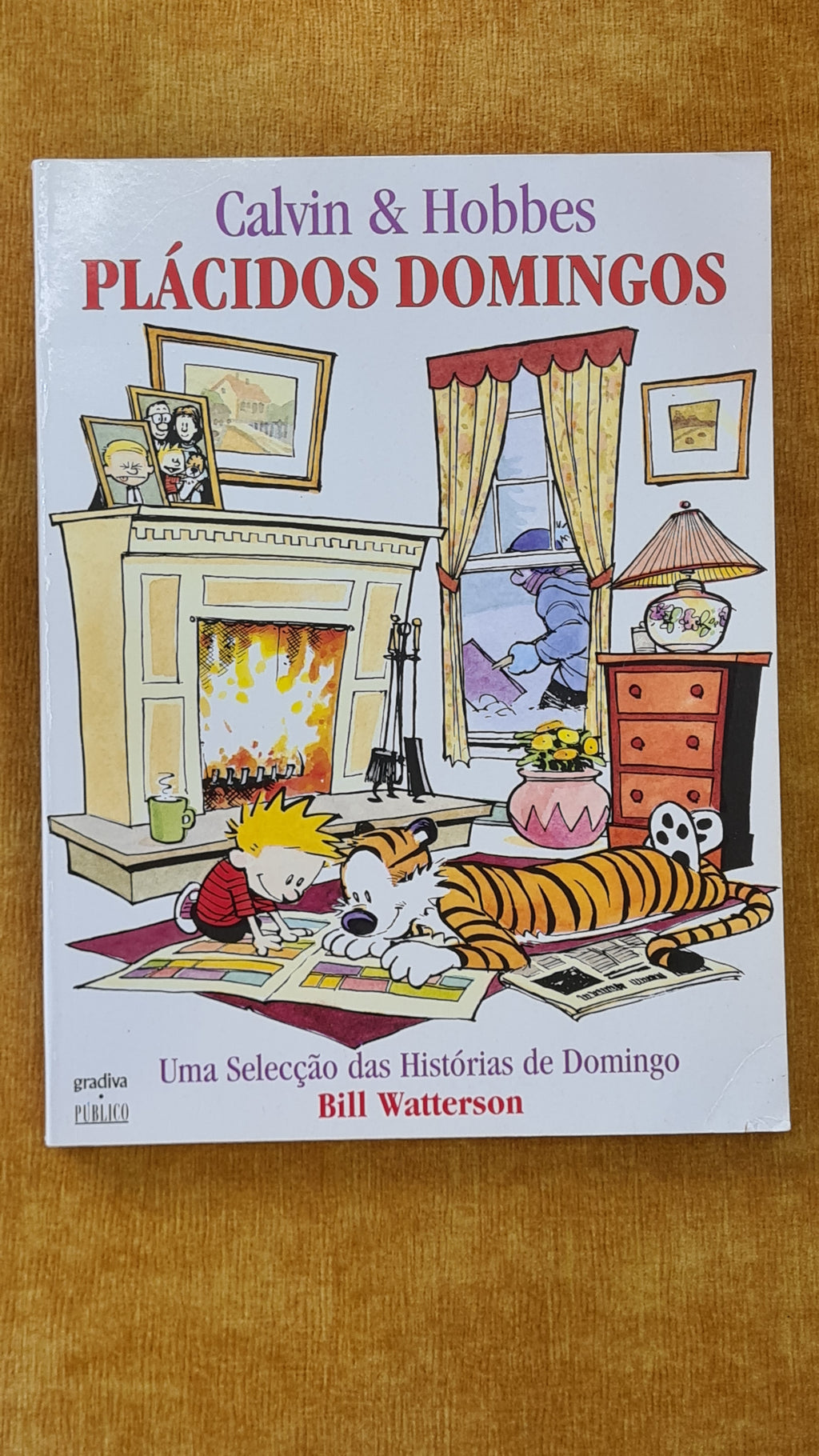 Plácidos domingos - Calvin & Hobbes