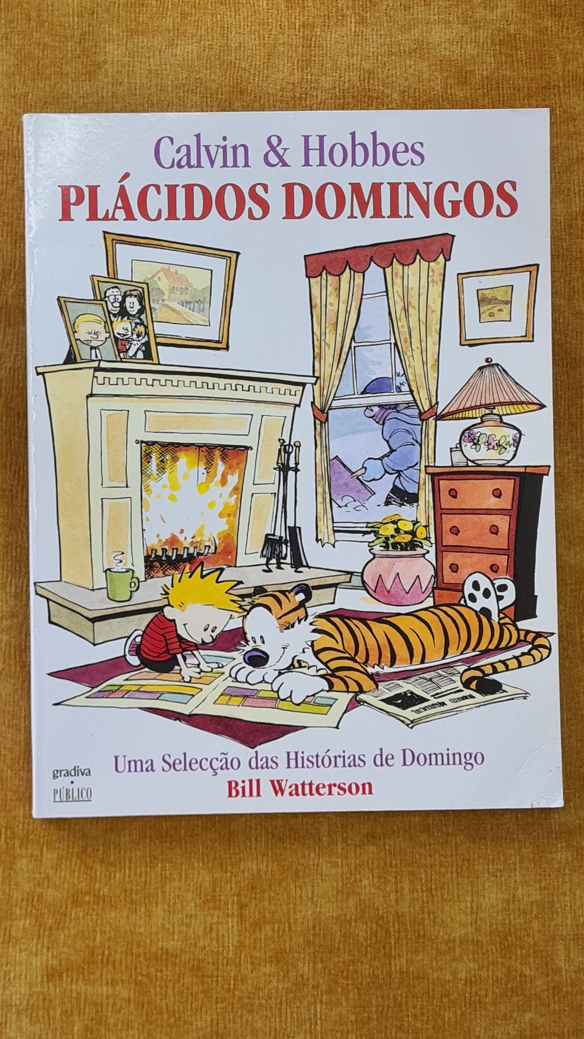 Plácidos domingos - Calvin & Hobbes