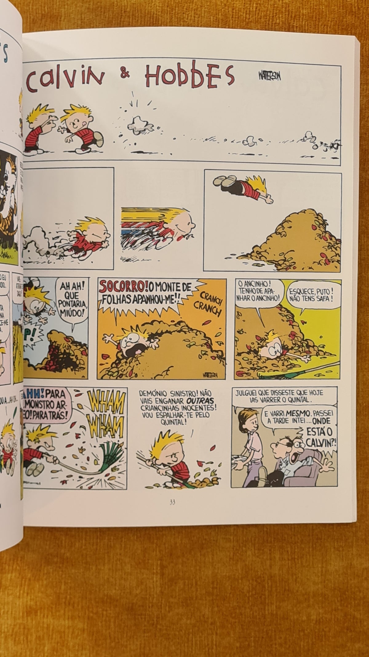 Plácidos domingos - Calvin & Hobbes