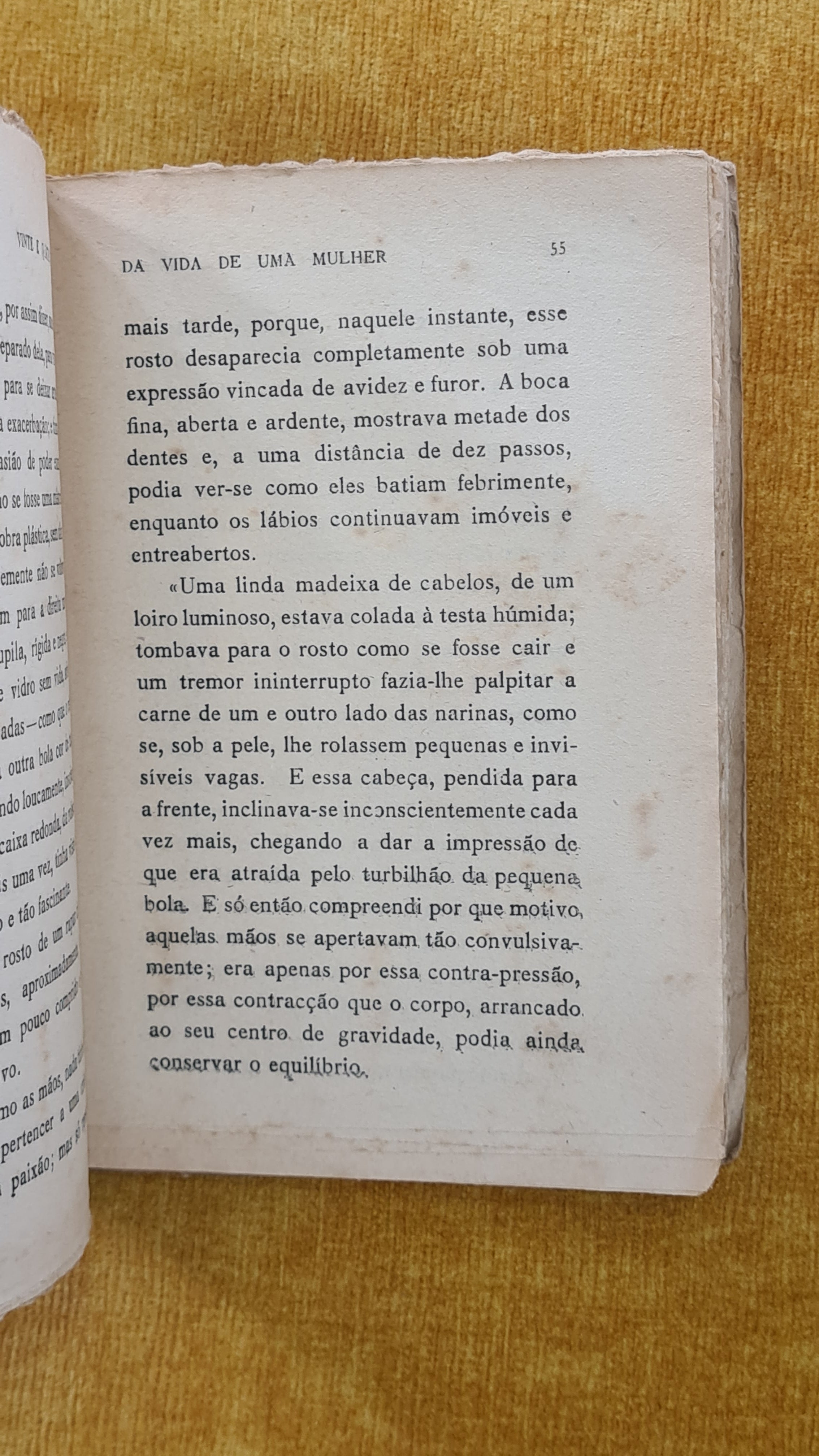 Vinte e quatro horas da vida duma mulher