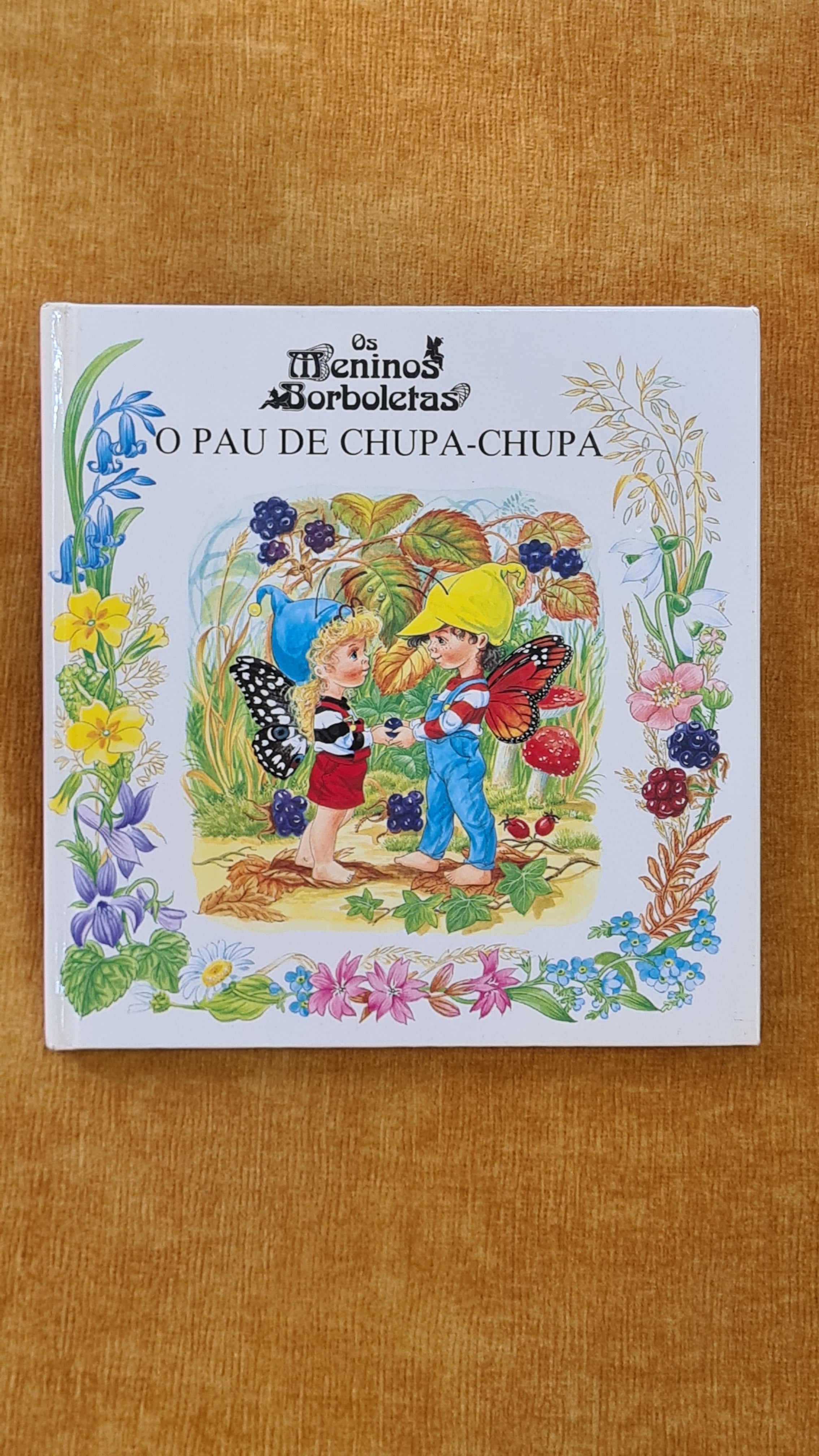 O pau de chupa-chupa - Os meninos Borboletas 1