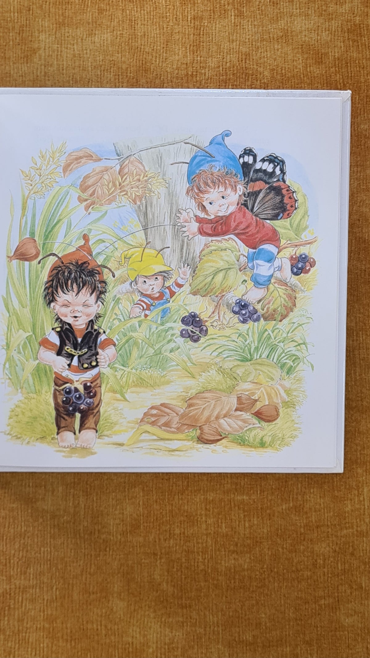 O pau de chupa-chupa - Os meninos Borboletas 1