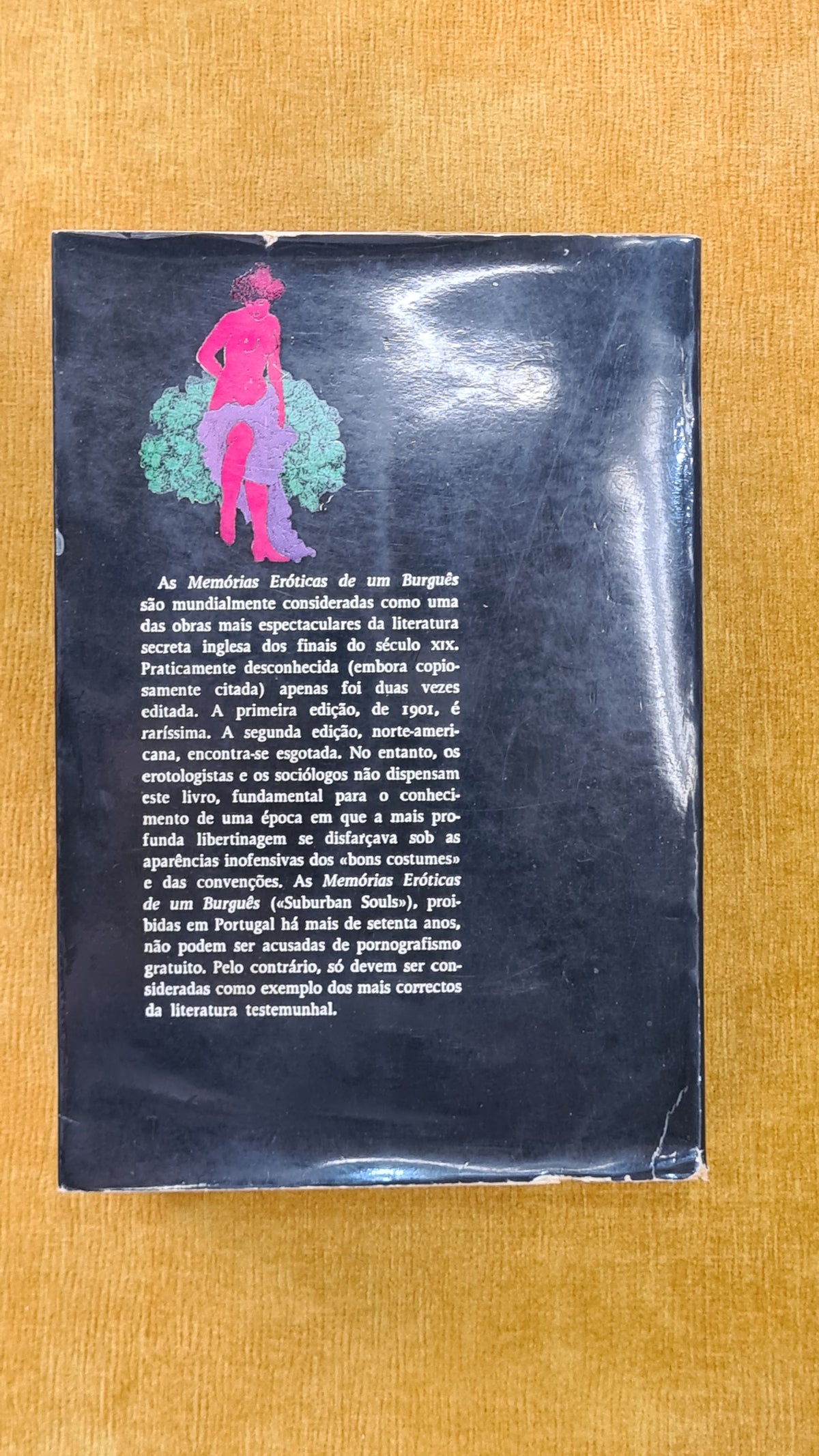 Memórias eróticas de um burguês