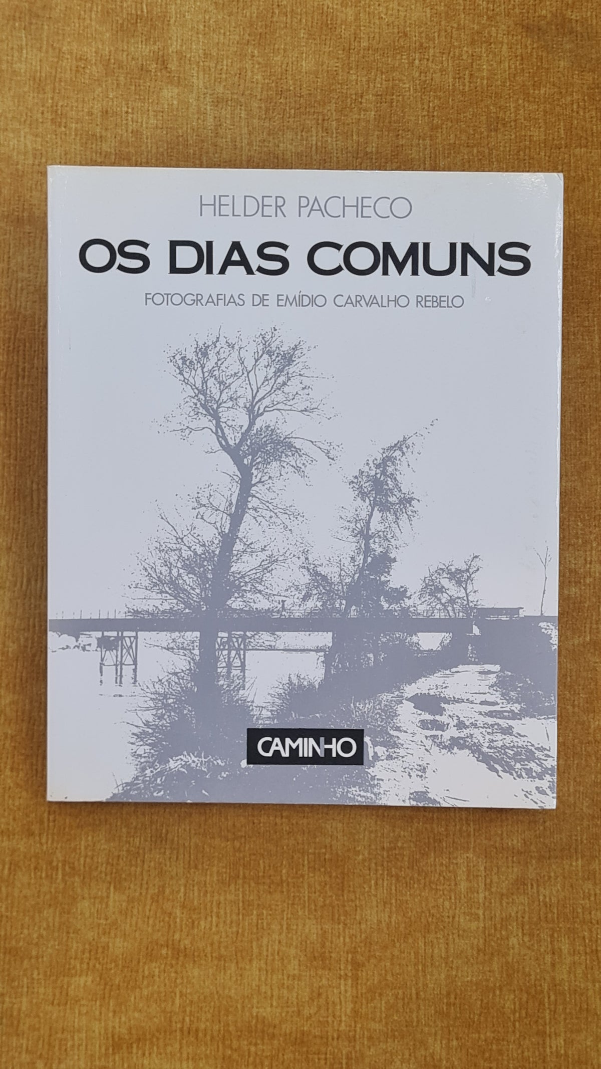 Os dias comuns