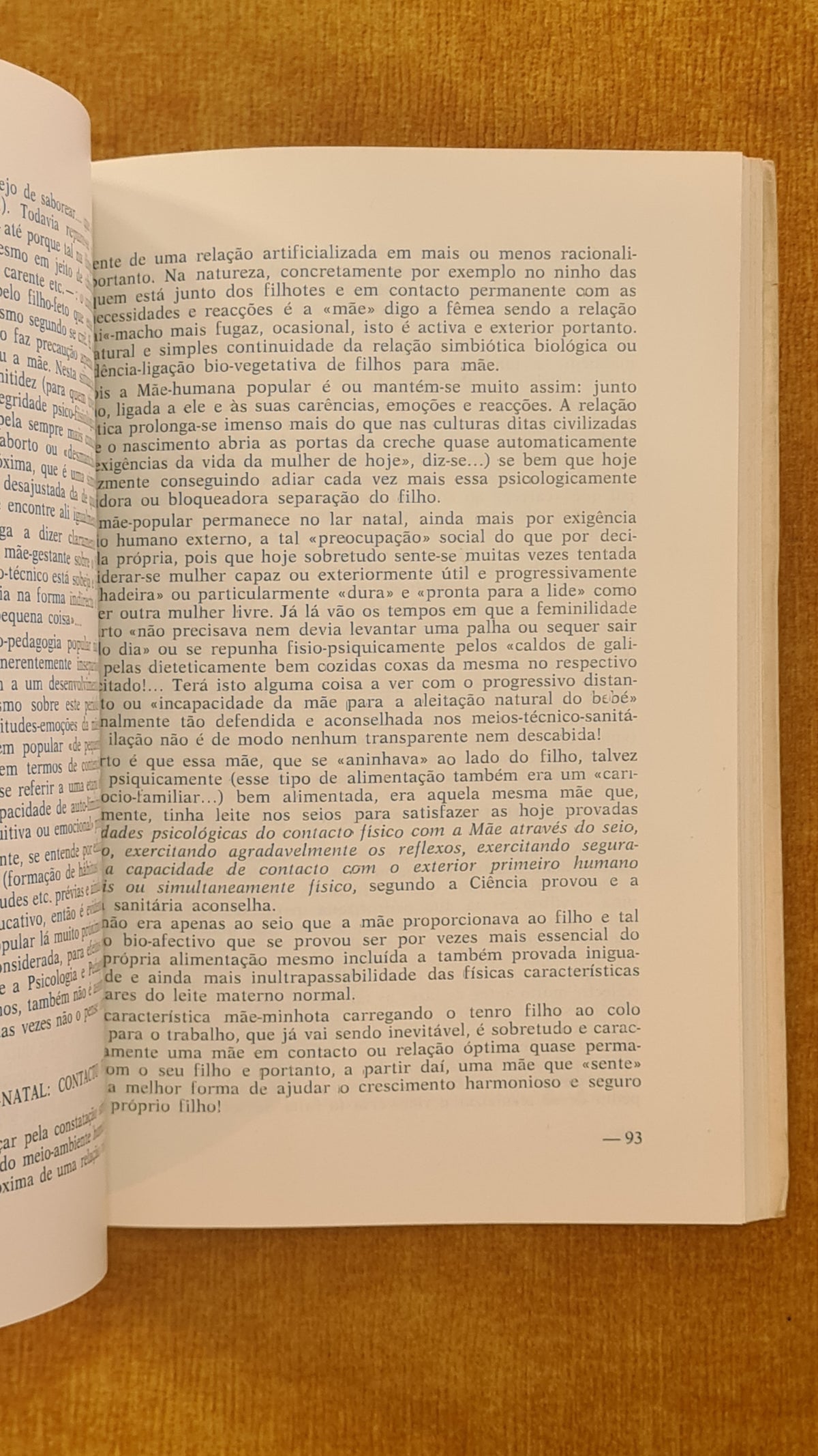 Cadernos Vianenses - Tomo VII