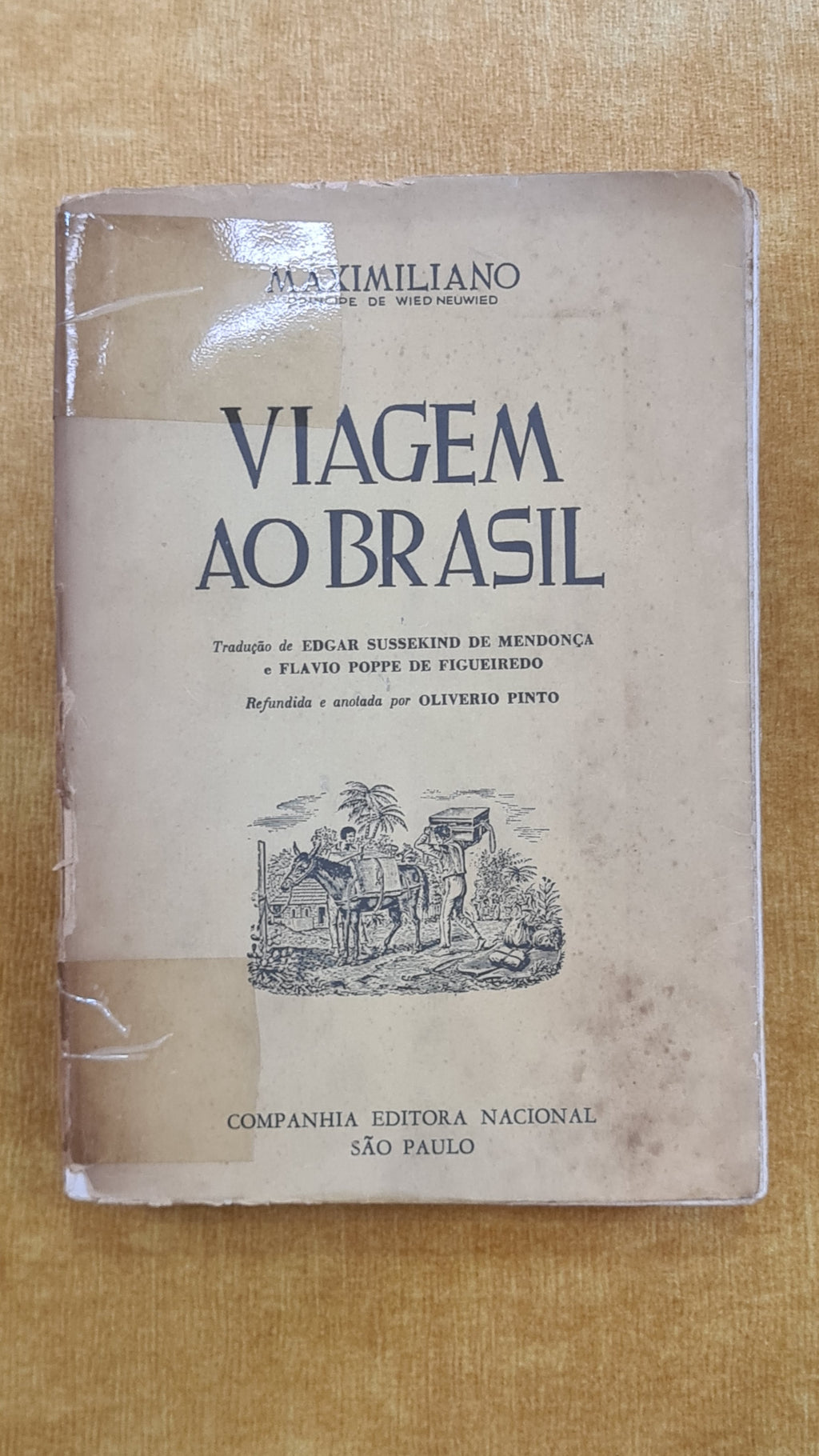 Viagem ao Brasil