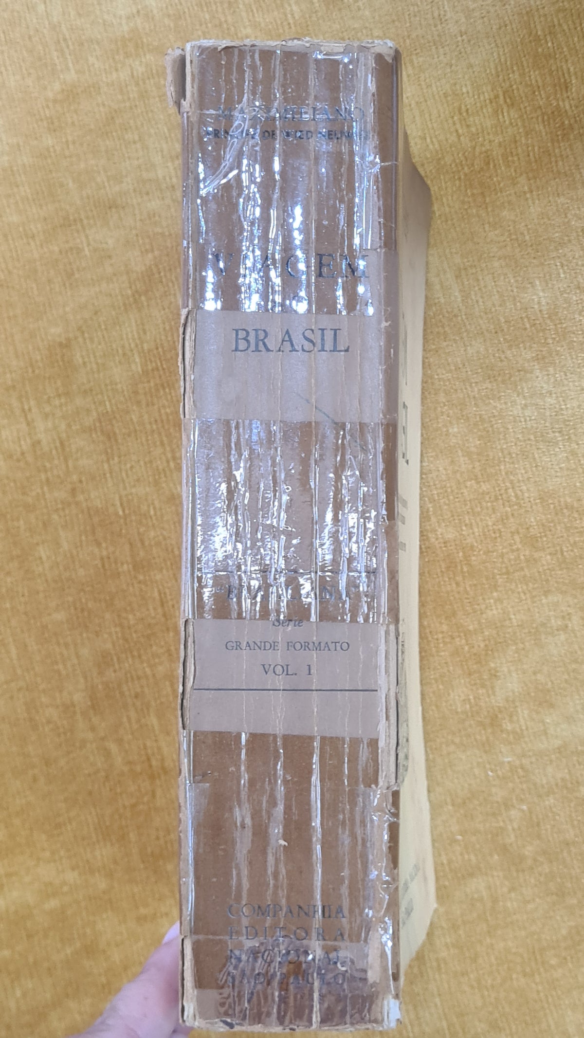 Viagem ao Brasil