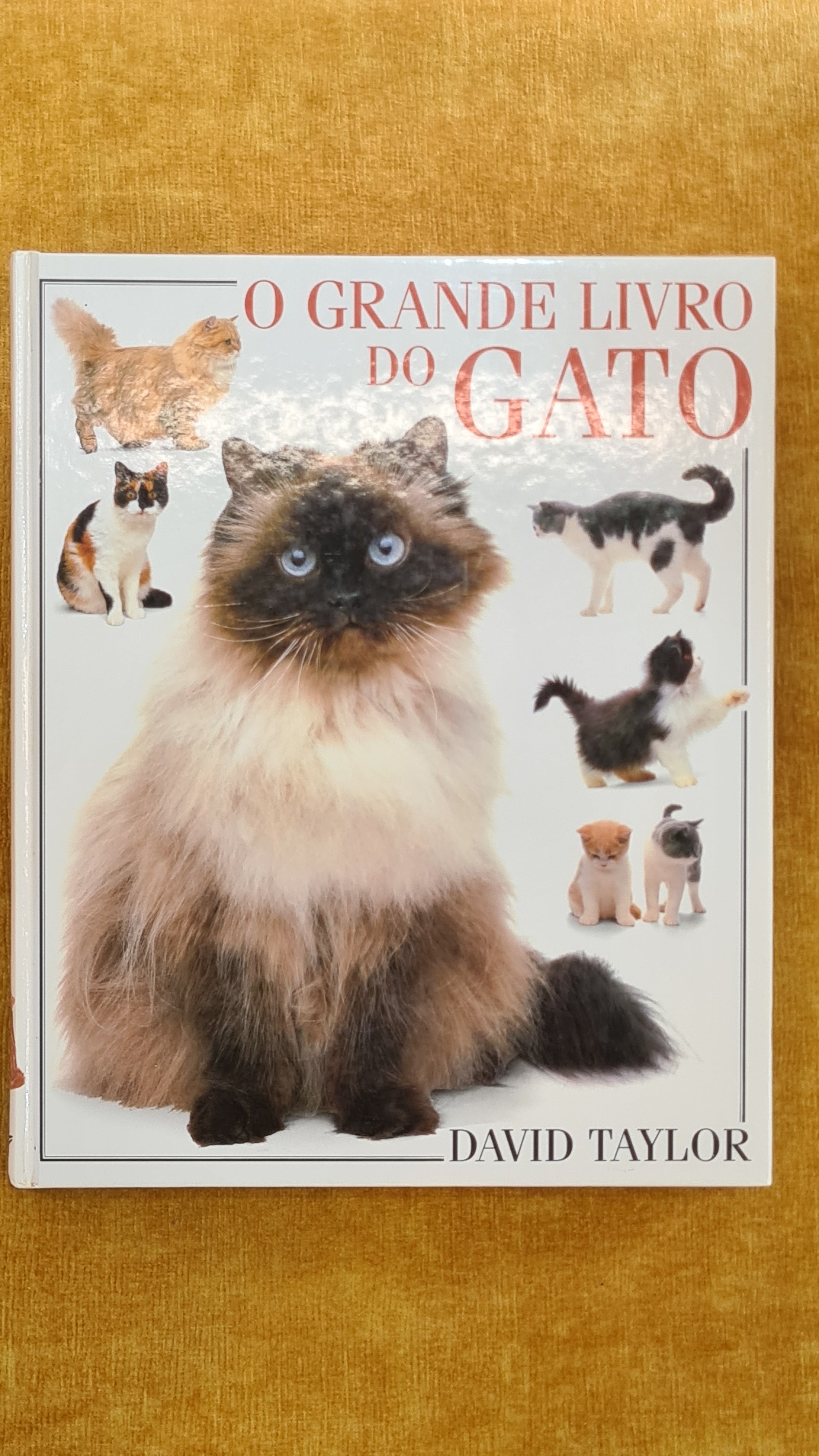 O grande livro do gato