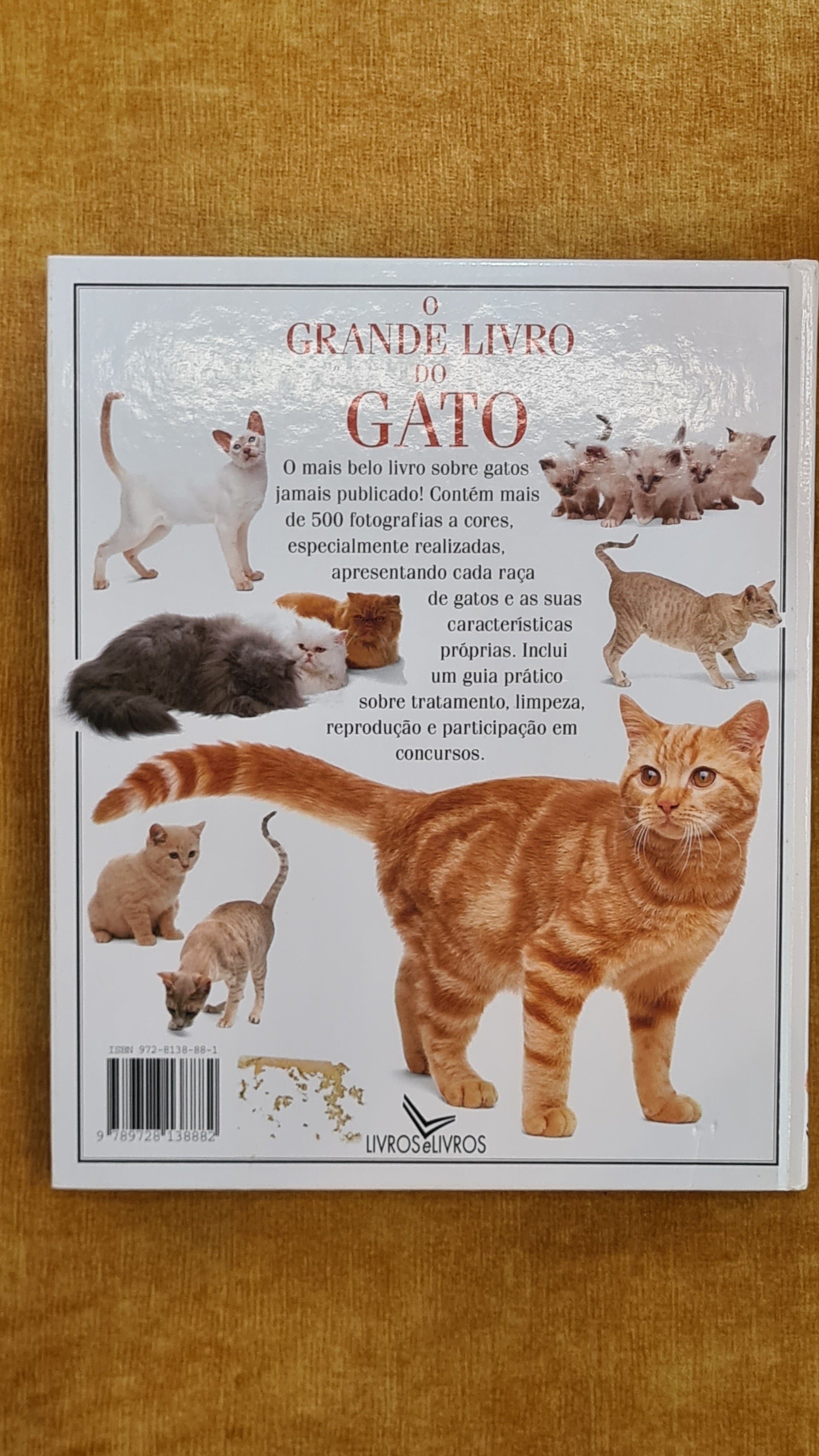 O grande livro do gato