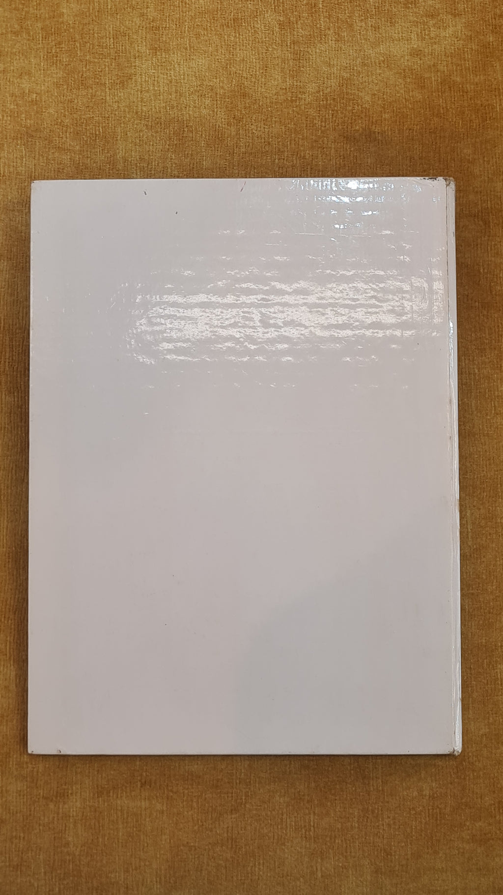 O fantasma das 24 horas - Michel Vaillant
