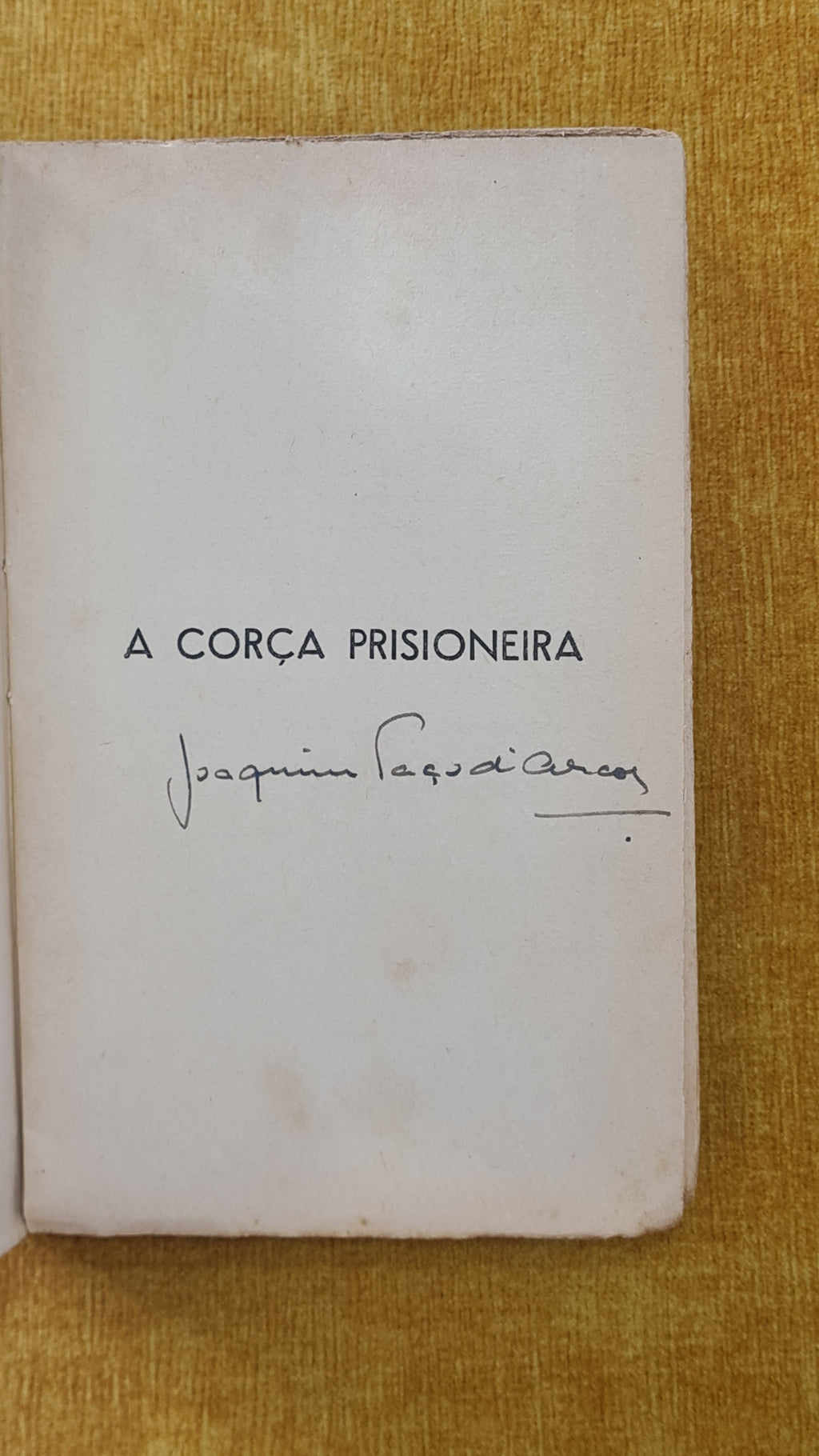 A corça prisioneira