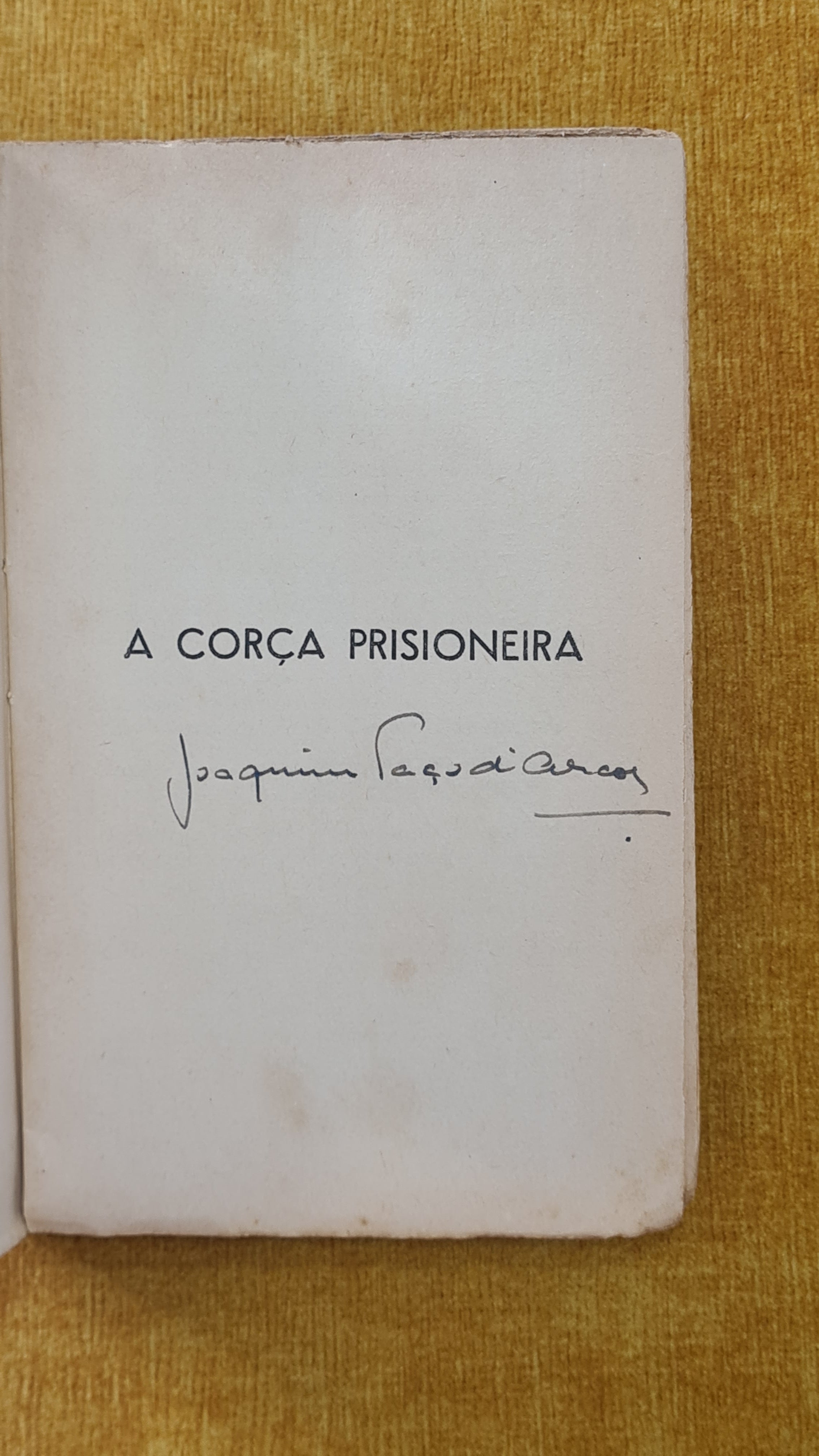 A corça prisioneira