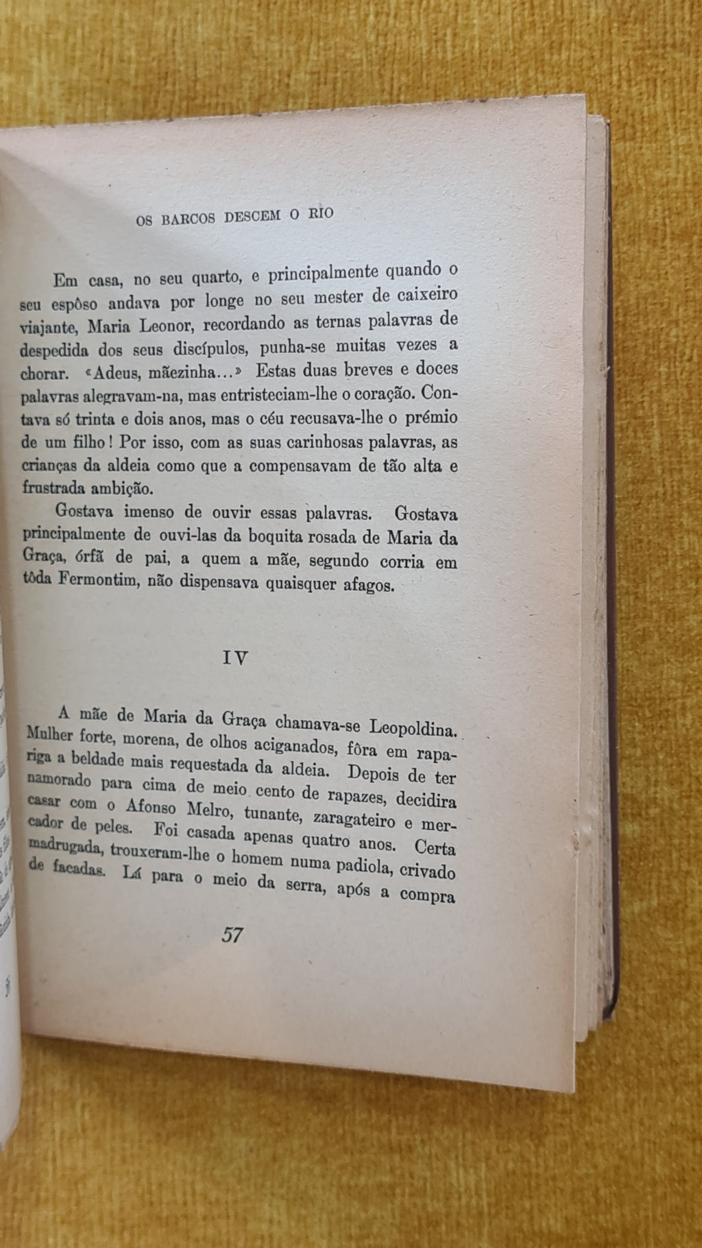 Os barcos descem o rio