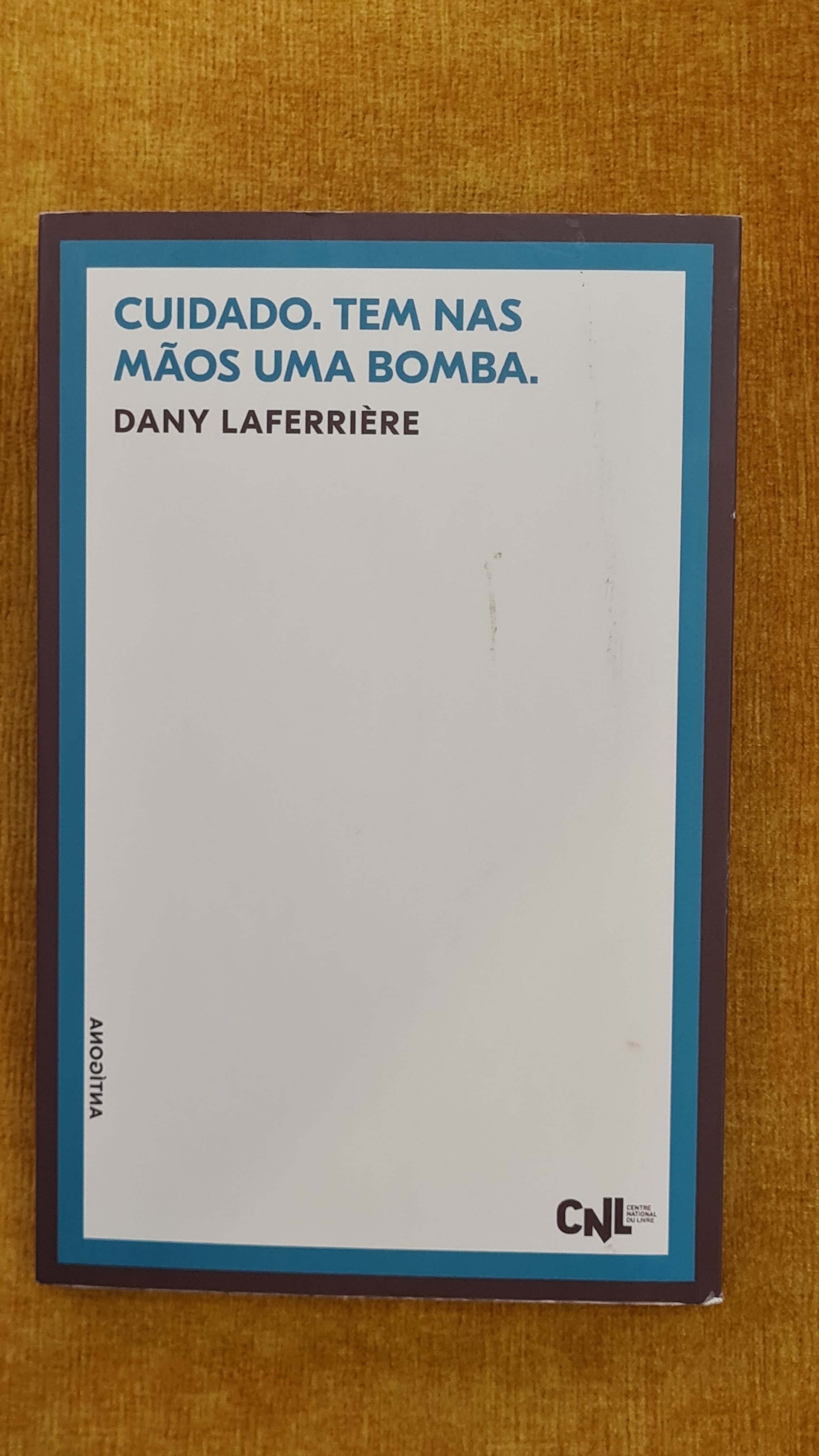 Como fazer amor com um negro sem se cansar