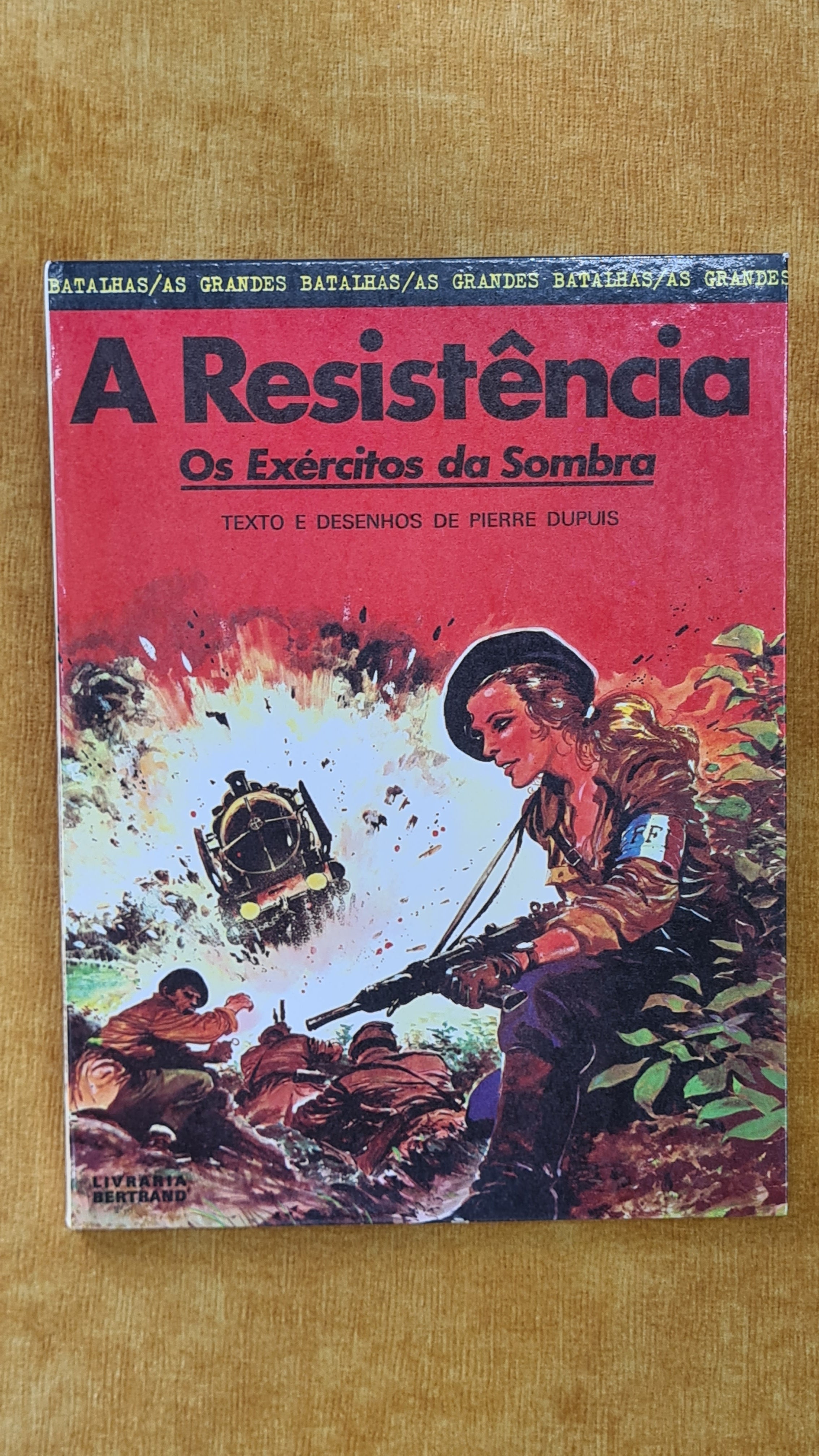A resistência: Os exércitos da Sombra - As Grandes batalhas 5
