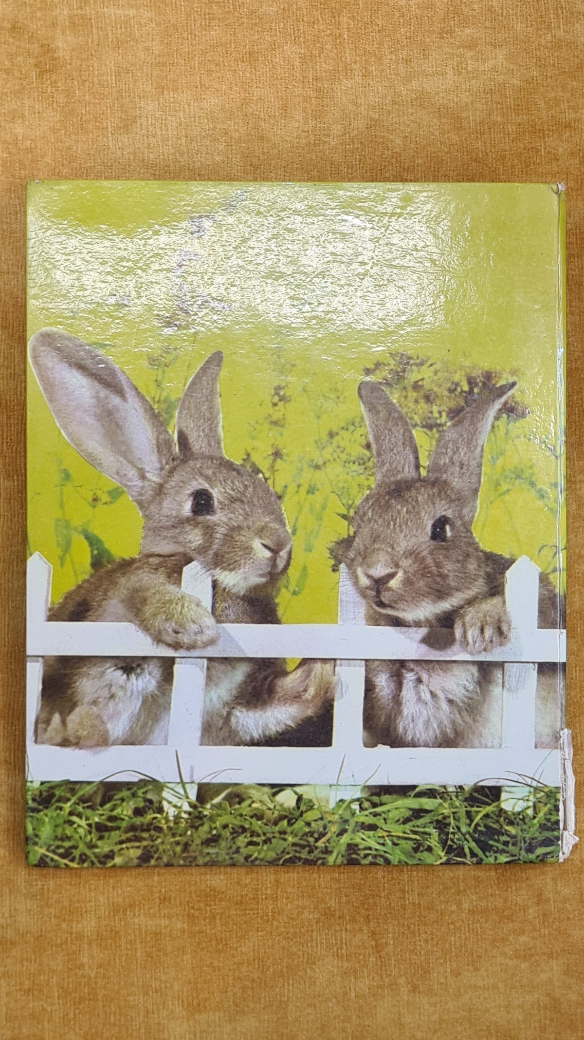 ABC dos coelhinhos