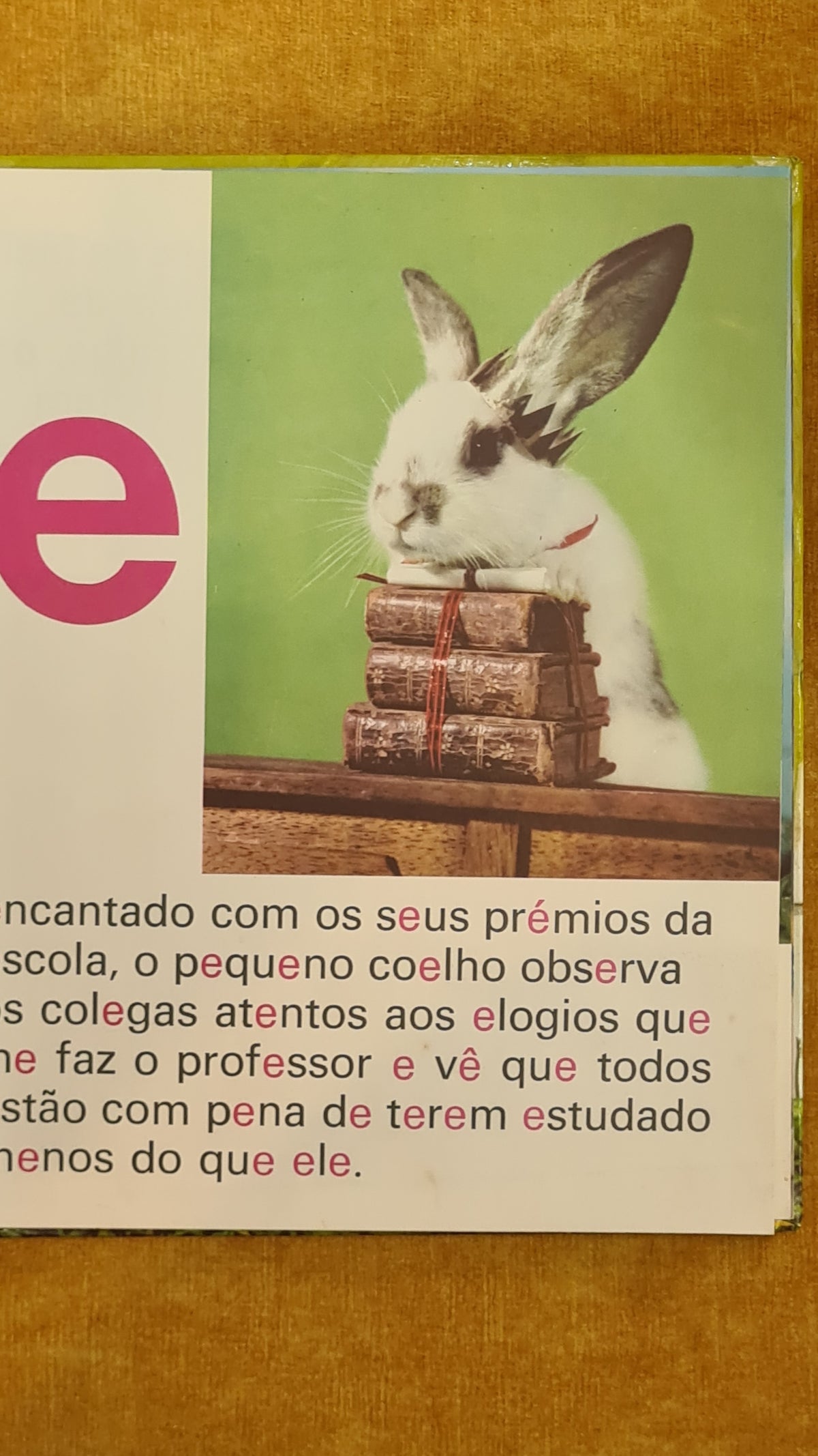 ABC dos coelhinhos