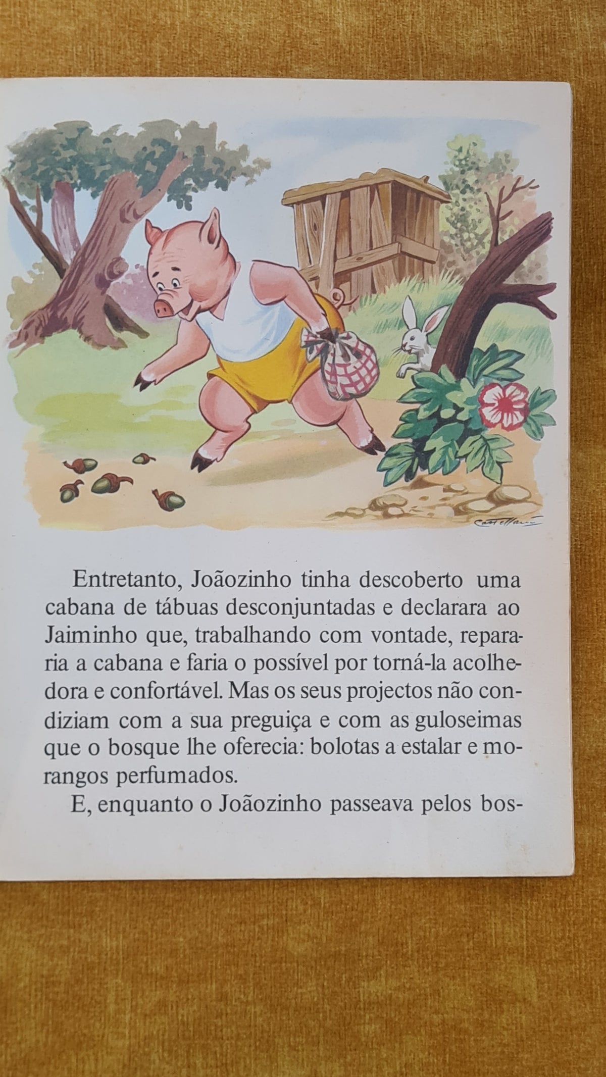 Os três porquinhos - Colecção para crianças 3