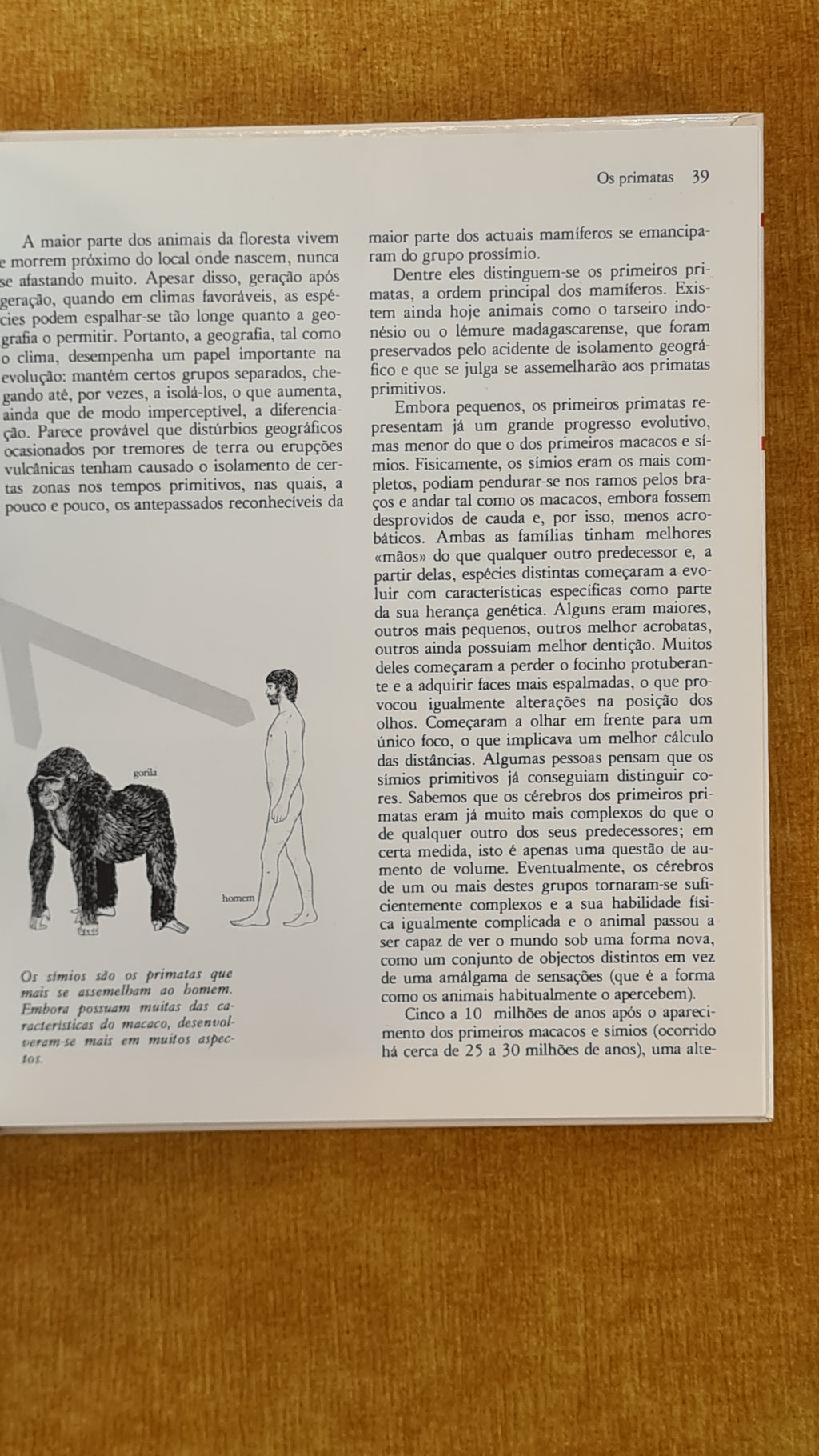 A origem do homem - História ilustrada do Mundo 1