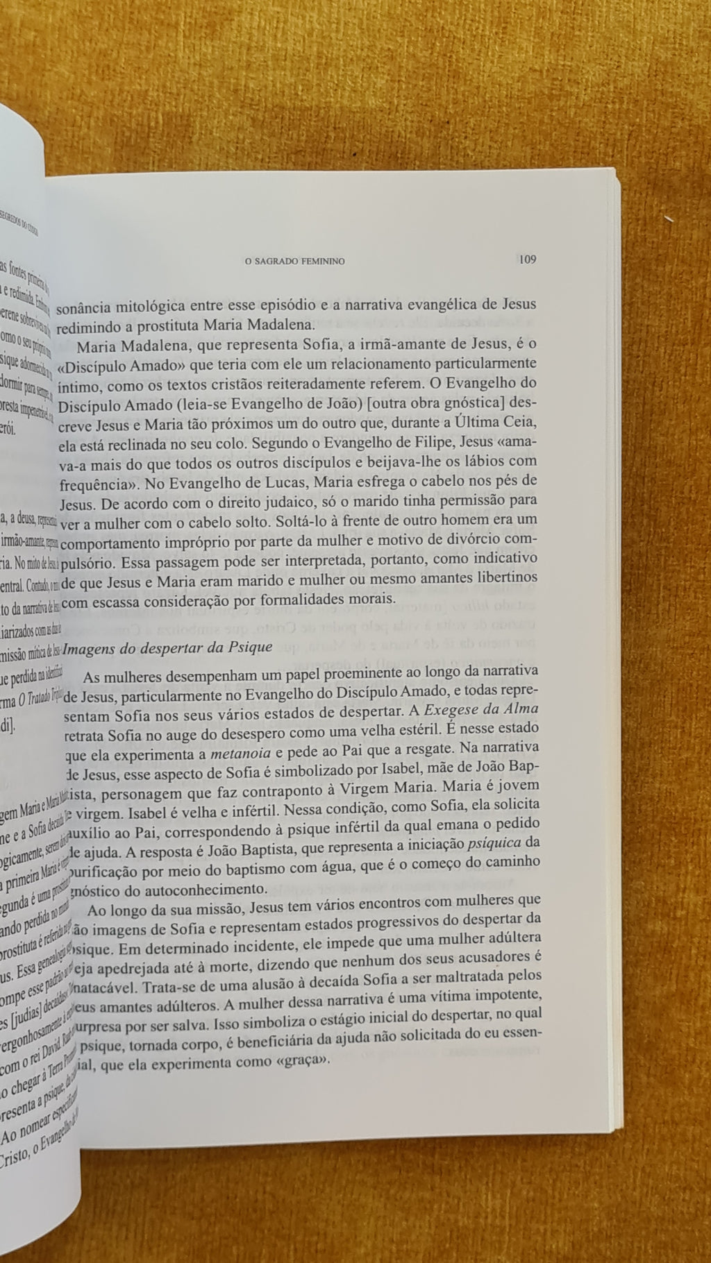 Segredos do Código: O que ainda não foi dito sobre o Código Da Vinci