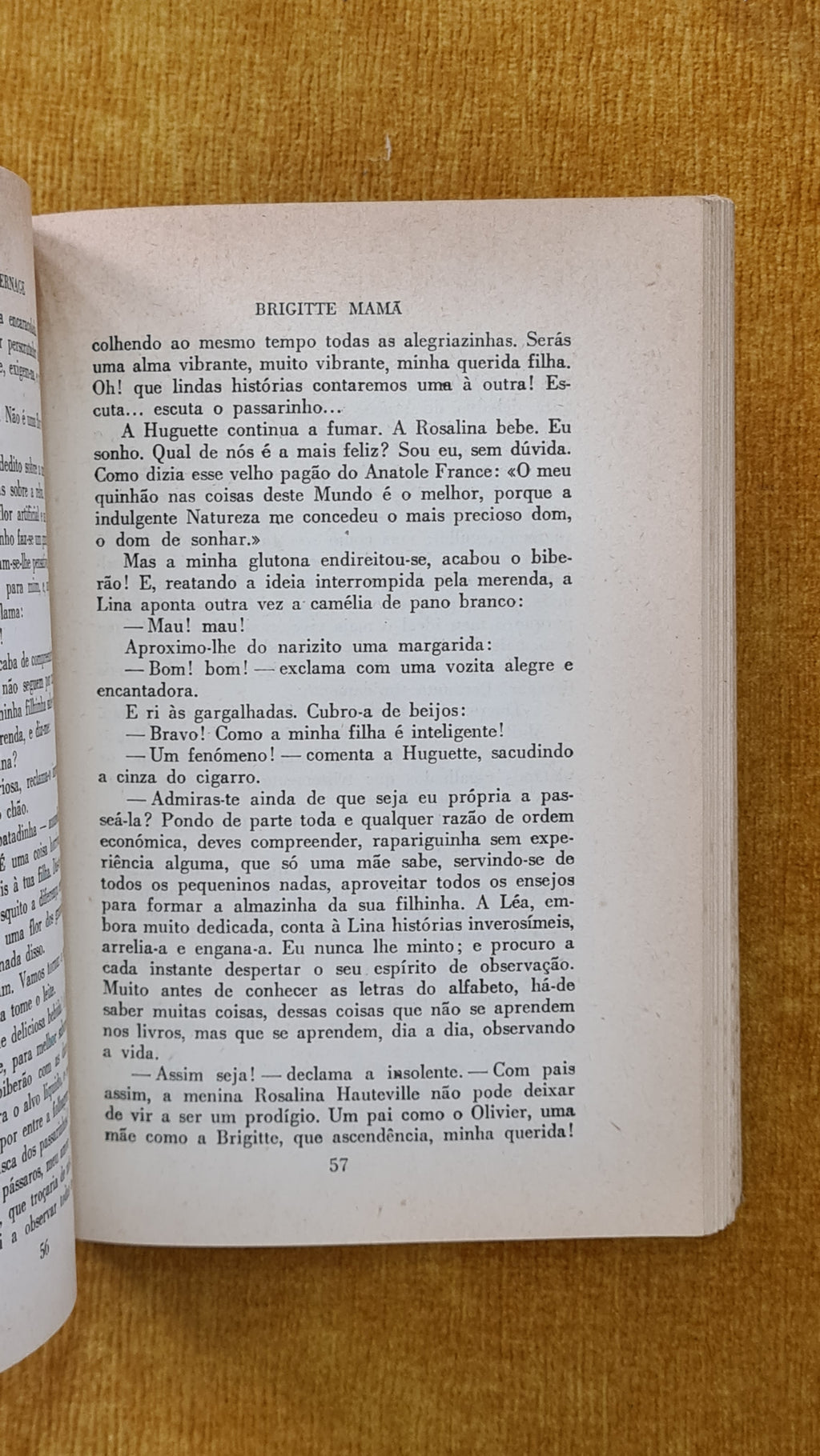 Brigitte mamã II - Biblioteca das Raparigas 9