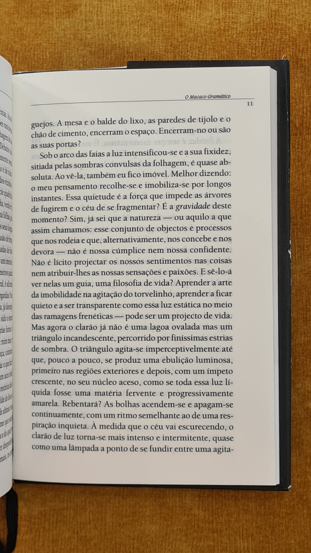 O macaco gramático