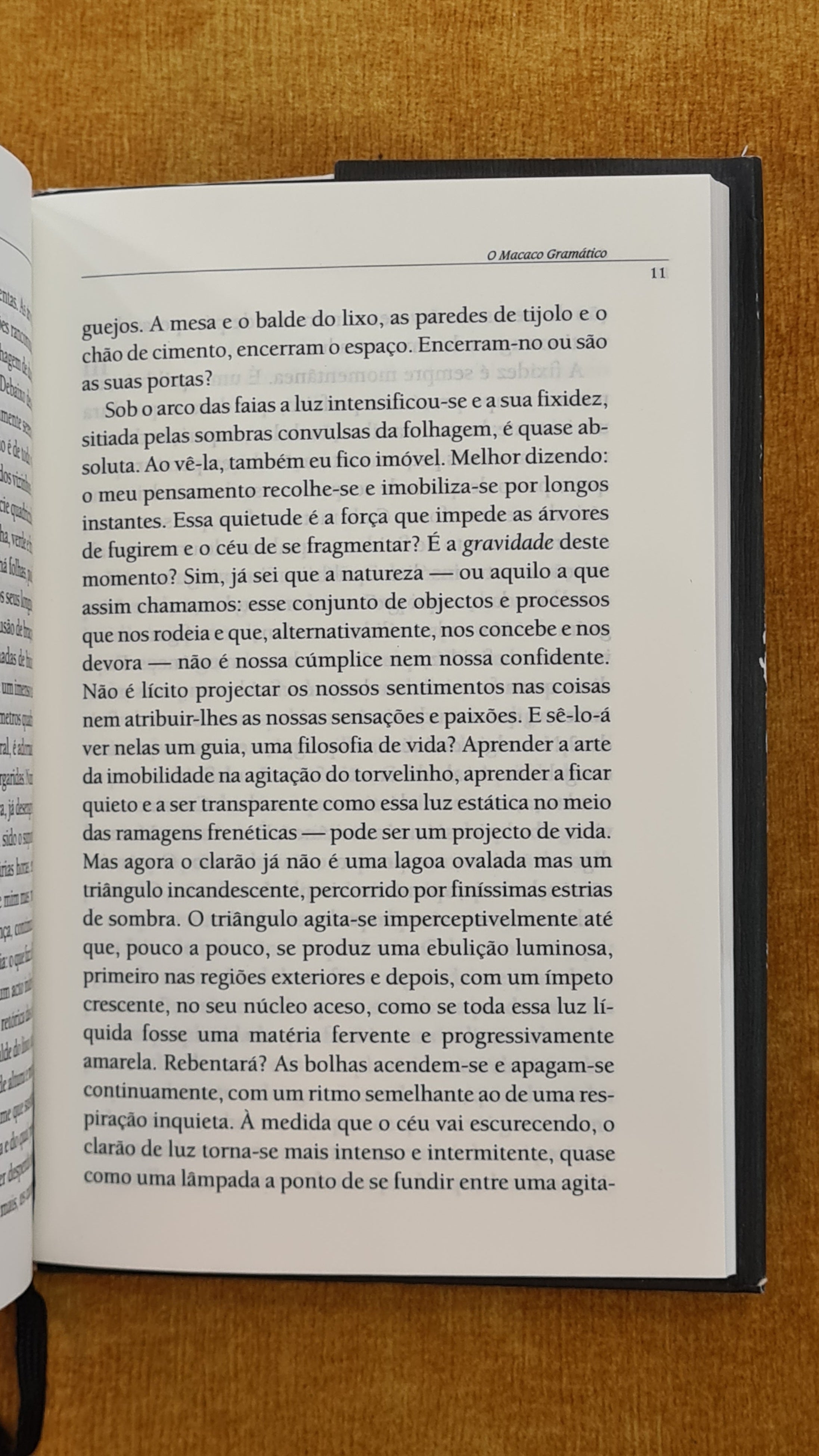 O macaco gramático