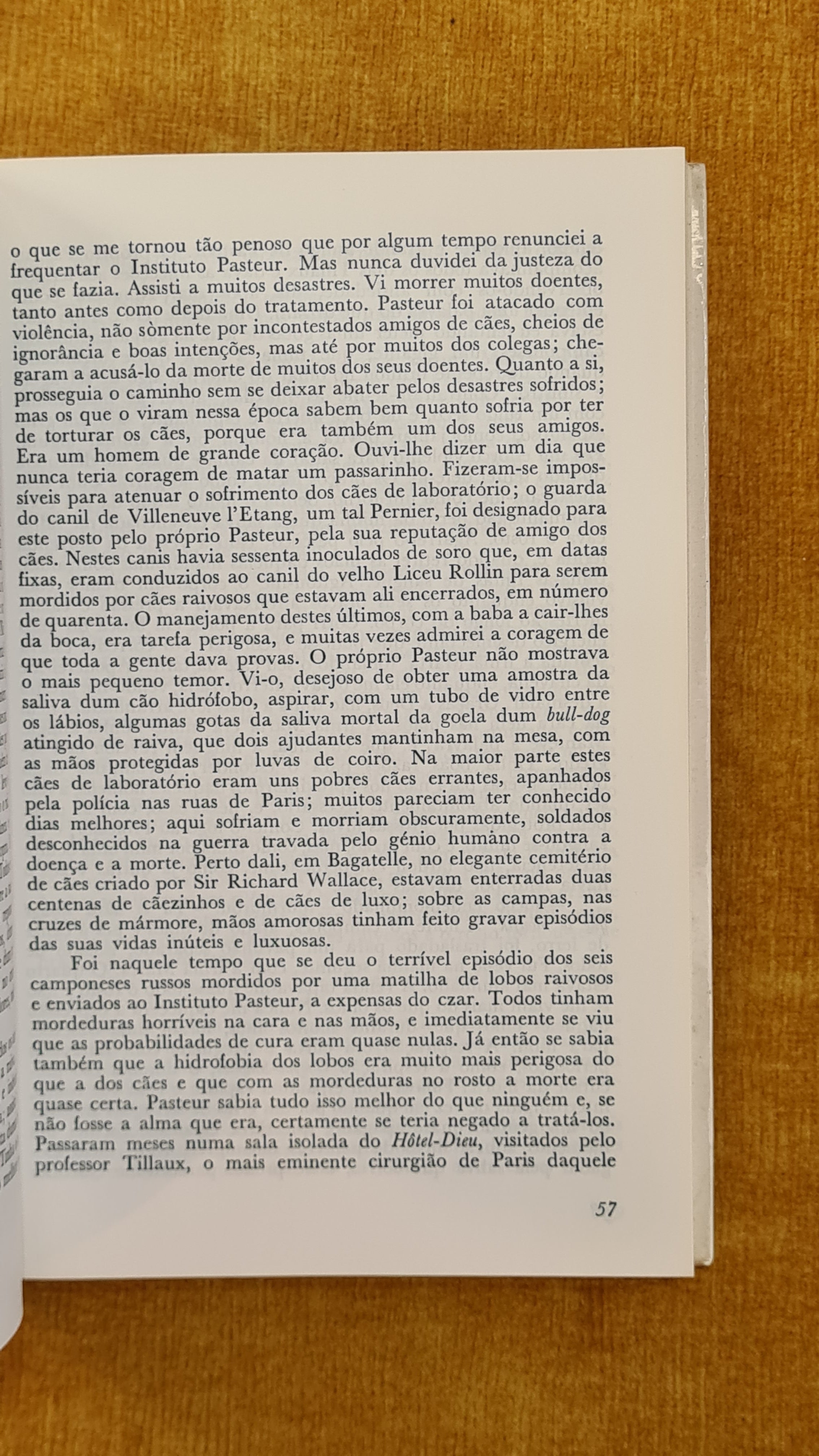 O livro de San Michele - Colecção Dois Mundos I