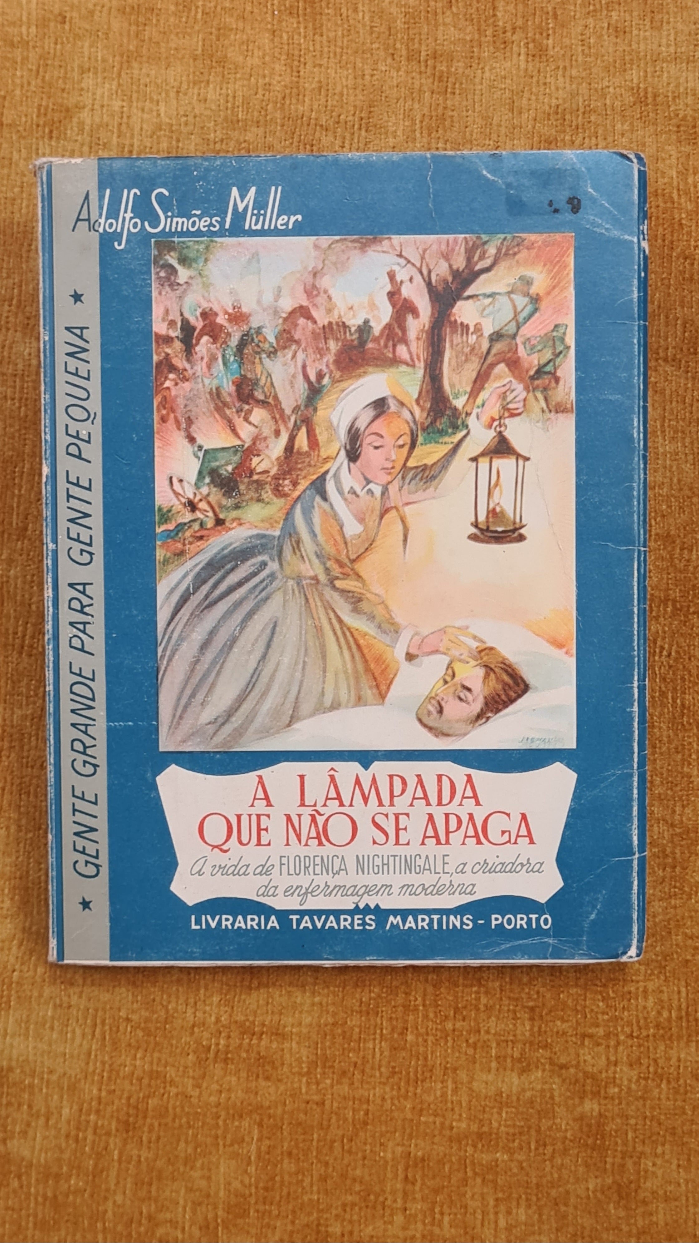 A lâmpada que não se apaga: A vida de Florença Nightingale, a criadora da enfermagem moderna - Gente grande para gente pequena 8