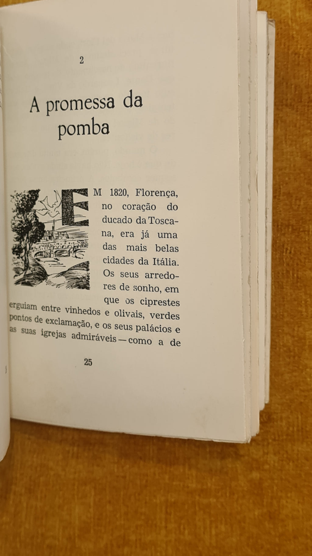 A lâmpada que não se apaga: A vida de Florença Nightingale, a criadora da enfermagem moderna - Gente grande para gente pequena 8