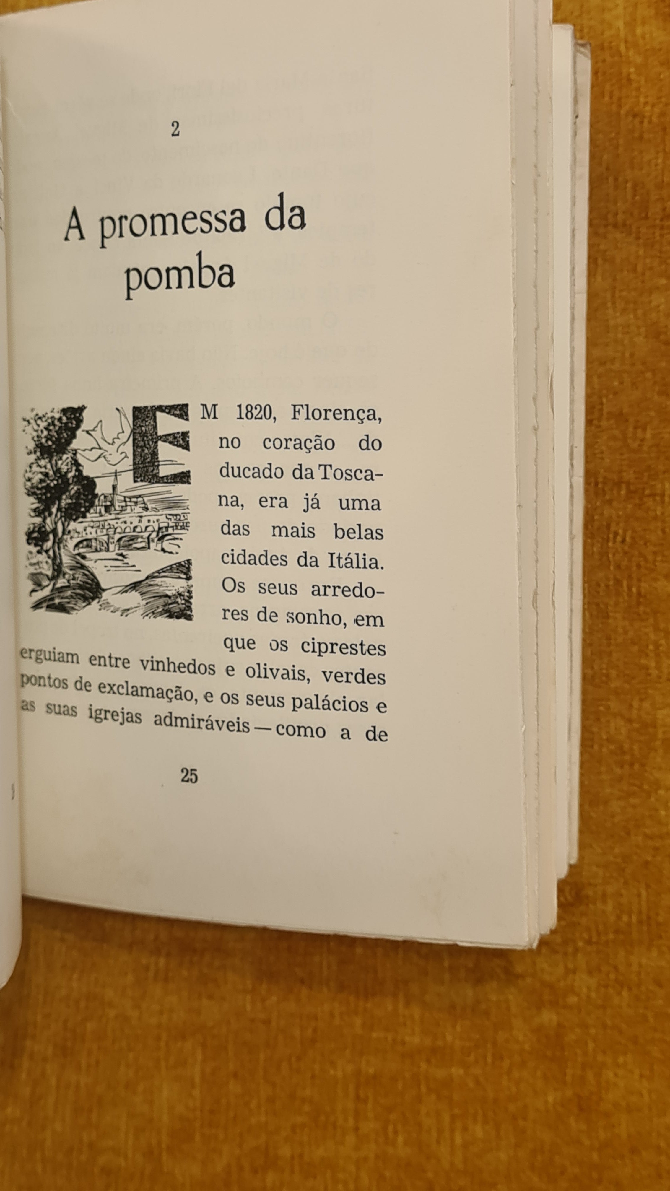 A lâmpada que não se apaga: A vida de Florença Nightingale, a criadora da enfermagem moderna - Gente grande para gente pequena 8