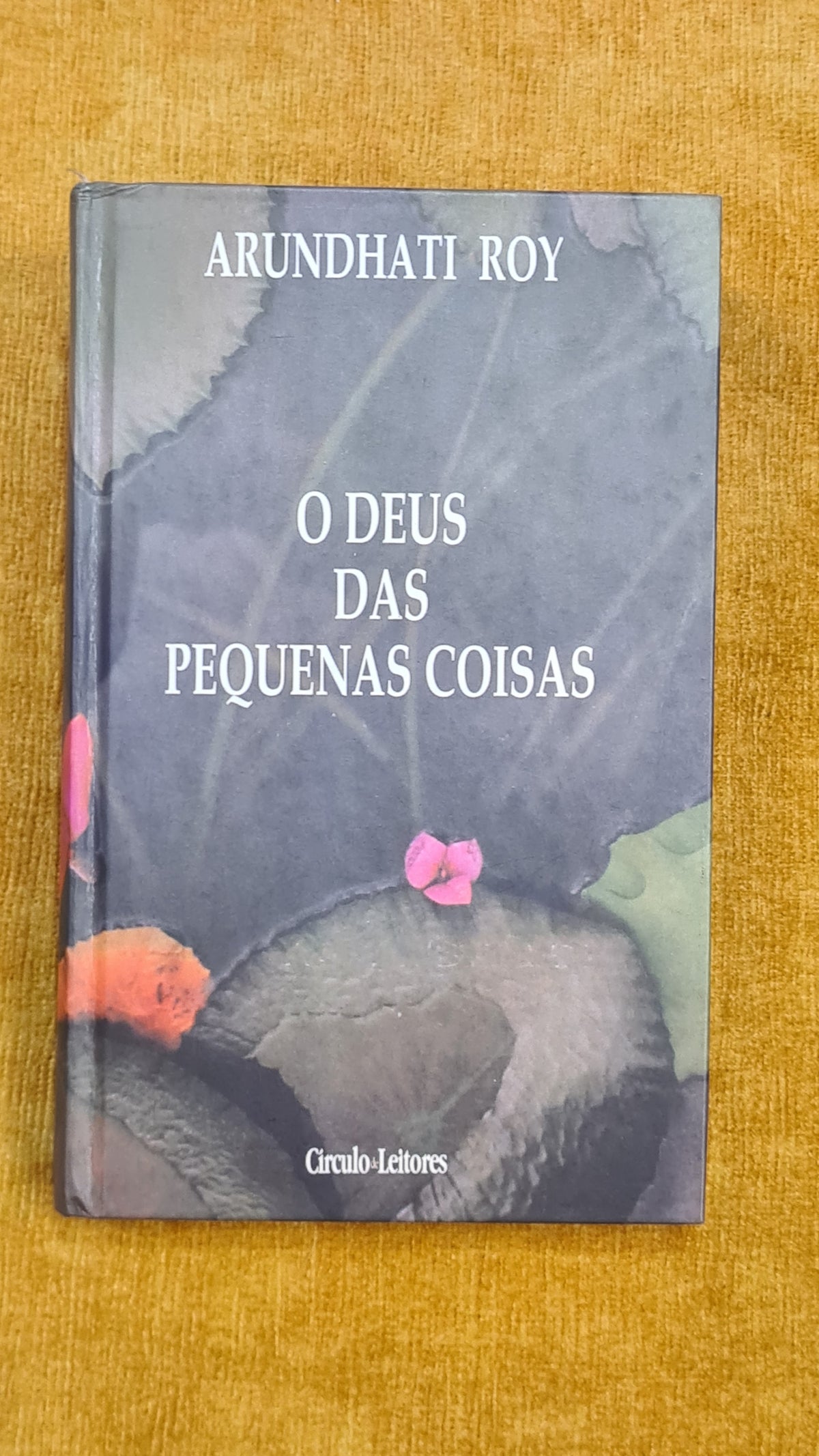 O Deus das pequenas coisas