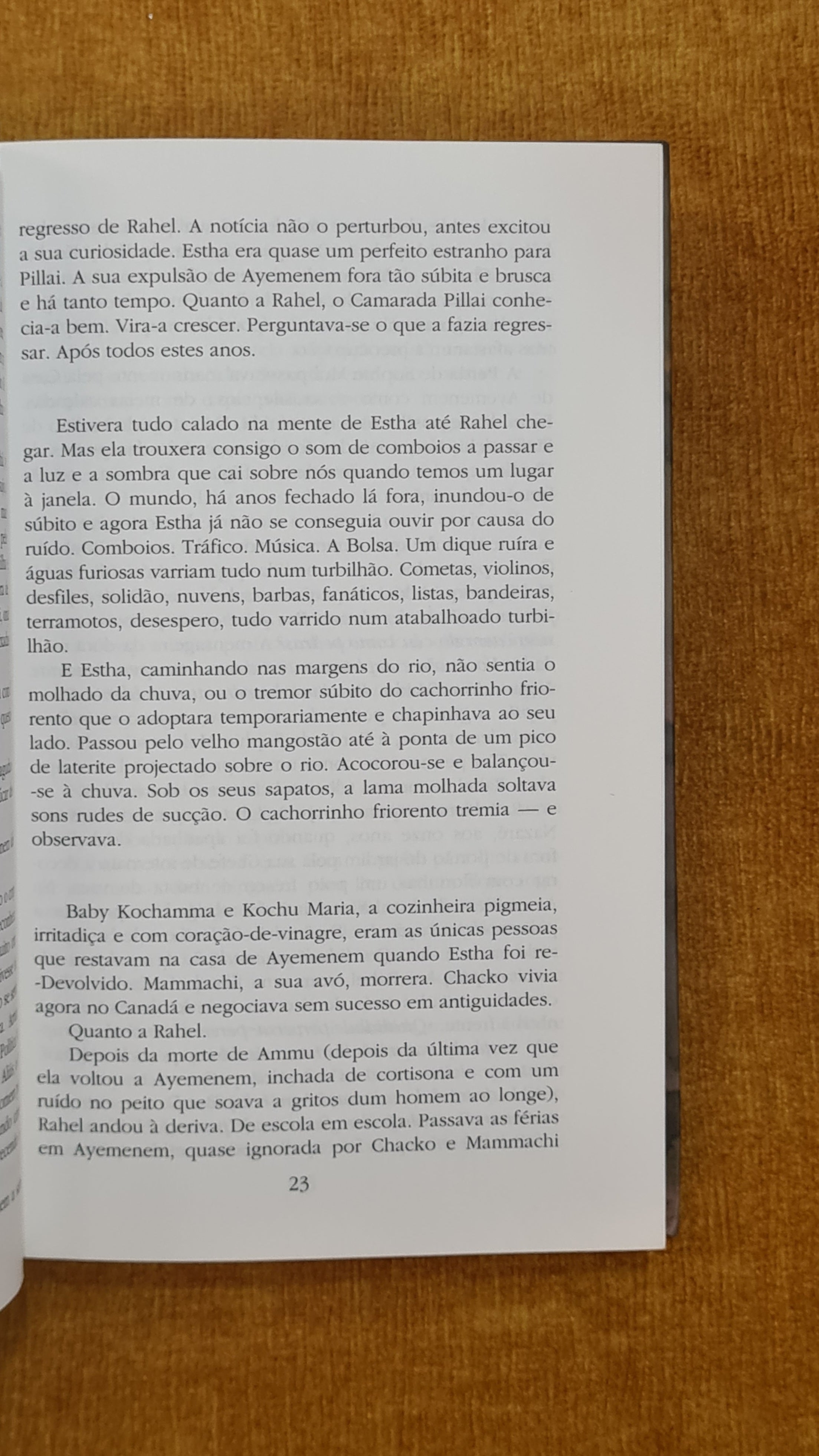 O Deus das pequenas coisas