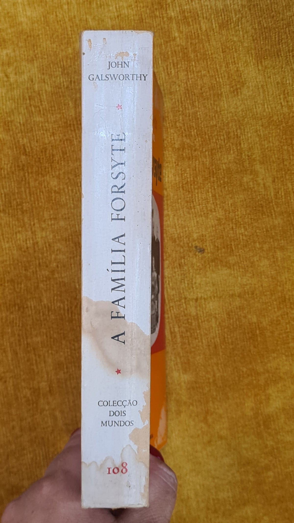 A família Forsyte Vol. I - Colecção Dois Mundos 108