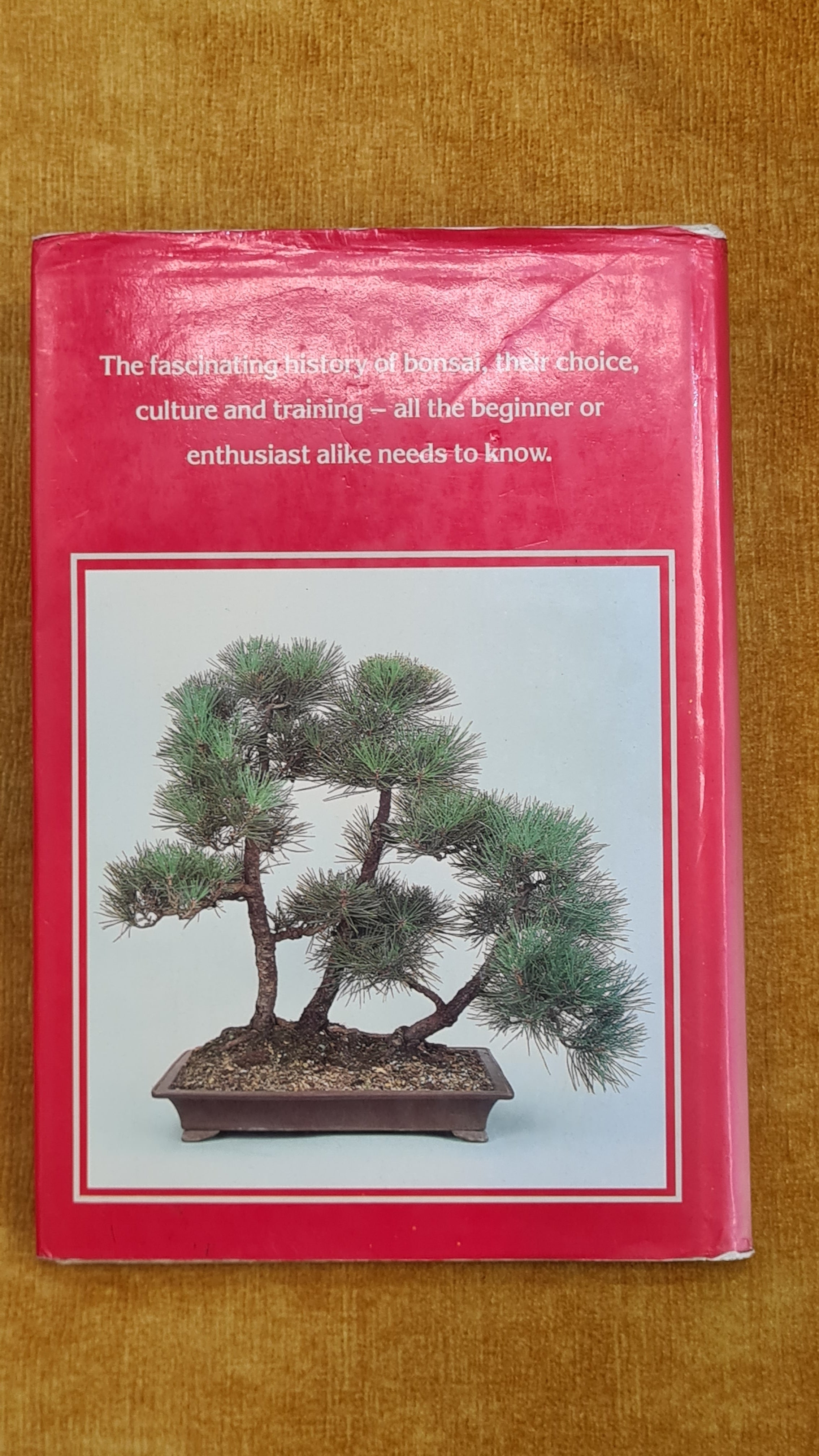 The Collingride Handbook of Bonsai